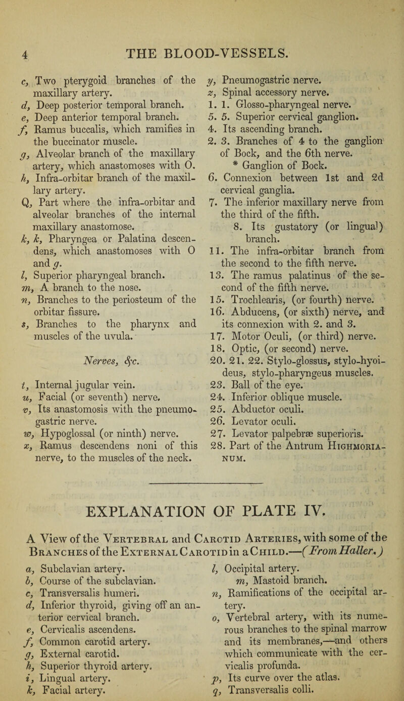 c, Two pterygoid branches of the maxillary artery. d, Deep posterior temporal branch. e, Deep anterior temporal branch. fy Ramus buccalis, which ramifies in the buccinator muscle. g3 Alveolar branch of the maxillary artery, which anastomoses with 0. h3 Infra-orbitar branch of the maxil¬ lary artery. Qy Part where the infra-orbitar and alveolar branches of the internal maxillary anastomose. k3 ky Pharyngea or Palatina descen¬ ded, which anastomoses with 0 and g. I, Superior pharyngeal branch. irij A branch to the nose. n, Branches to the periosteum of the orbitar fissure. s. Branches to the pharynx and muscles of the uvula. Nerves, Sfc. t, Internal jugular vein. u, Facial (or seventh) nerve, v. Its anastomosis with the pneumo- gastric nerve. Wy Hypoglossal (or ninth) nerve. x, Ramus descendens noni of this nerve, to the muscles of the neck. y, Pneumogastric nerve. Zy Spinal accessory nerve. I. 1. Glosso-pharyngeal nerve. 5. 5. Superior cervical ganglion. 4. Its ascending branch. 2. 3. Branches of 4 to the ganglion of Bock, and the 6th nerve. * Ganglion of Bock. 6. Connexion between 1st and 2d cervical ganglia. 7. The inferior maxillary nerve from the third of the fifth. 8. Its gustatory (or lingual) branch. II. The infra-orbitar branch from the second to the fifth nerve. 13. The ramus palatinus of the se¬ cond of the fifth nerve. 15. Trochlearis, (or fourth) nerve. 16. Abducens, (or sixth) nerve, and its connexion with 2. and 3. 17- Motor Oculi, (or third) nerve. 18. Optic, (or second) nerve. 20. 21. 22. Stylo-glossus, stylo-hyoi- deus, stylo-pharyngeus muscles. 23. Ball of the eye. 24. Inferior oblique muscle. 25. Abductor oculi. 26. Levator oculi. 27* Levator palpebrae superioris. 28. Part of the Antrum Highmoria- NUM. EXPLANATION OF PLATE IV. A View of the Vertebral and Carotid Arteries, with some of the Branches of the External Carotid in a Child.—(From Haller*) a, Subclavian artery. I, Course of the subclavian. c, Transversalis humeri. dy Inferior thyroid, giving off an terior cervical branch. e, Cervicalis ascendens. f, Common carotid artery. g, External carotid. ky Superior thyroid artery. i, Lingual artery. ky Facial artery. I, Occipital artery. m, Mastoid branch. n, Ramifications of the occipital ar¬ tery. 0, Vertebral artery, with its nume¬ rous branches to the spinal marrow and its membranes,—and others which communicate with the cer¬ vicalis profunda. p, Its curve over the atlas. q, Trans versalis colli.