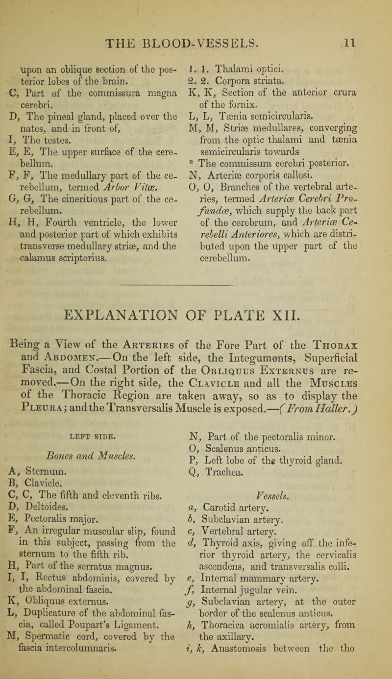 upon an oblique section of the pos¬ terior lobes of the brain. C, Part of the commissura magna cerebri. D, The pineal gland, placed over the nates, and in front of, I, The testes. E, E, The upper surface of the cere¬ bellum. F, F, The medullary part of the ce¬ rebellum, termed Arbor Vitce. G, G, The cineritious part of the ce¬ rebellum. H, H, Fourth ventricle, the lower and posterior part of which exhibits transverse medullary striae, and the calamus scriptorius. 1.1. Thalami optici. 2. 2. Corpora striata. K, K, Section of the anterior crura of the fornix. L, L, Taenia semicircularis. M, M, Striae medullares, converging from the optic thalami and taenia semicircularis towards * The commissura cerebri posterior. N, Arteriae corporis callosi. O, 0, Branches of the vertebral arte¬ ries, termed Arterice Cerebri Pro- fundce, which supply the back part of the cerebrum, and Arterice Ce- rebelli Anteriores, which are distri¬ buted upon the upper part of the cerebellum. EXPLANATION OF PLATE XII. Being a View of the Arteries of the Fore Part of the Thorax and Abdomen.—On the left side, the Integuments, Superficial Fascia, and Costal Portion of the Obliquus Externus are re¬ moved.— On the right side, the Clavicle and all the Muscles of the Thoracic Region are taken away, so as to display the Pleura; and the Trans versalis Muscle is exposed.—(From Haller.) LEFT SIDE. Bones and Muscles. A, Sternum. B, Clavicle. C, C, The fifth and eleventh ribs. D, Deltoides. E, Pectoralis major. F, An irregular muscular slip, found in this subject, passing from the sternum to the fifth rib. H, Part of the serratus magnus. I, I, Rectus abdominis, covered by the abdominal fascia. K, Obliquus externus. L, Duplicature of the abdominal fas¬ cia, called Poupart’s Ligament. M, Spermatic cord, covered by the fascia intercolumnaris. N, Part of the pectoralis minor. O, Scalenus anticus. P, Left lobe of the thyroid gland. Q, Trachea. Vessels. a, Carotid artery. b, Subclavian artery. c, Vertebral artery. d, Thyroid axis, giving off’ the infe¬ rior thyroid artery, the cervicalis ascendens, and transversalis colli. e, Internal mammary artery. f, Internal jugular vein. g, Subclavian artery, at the outer border of the scalenus anticus. h, Thoracica acromialis artery, from the axillary. i, k, Anastomosis between the tho