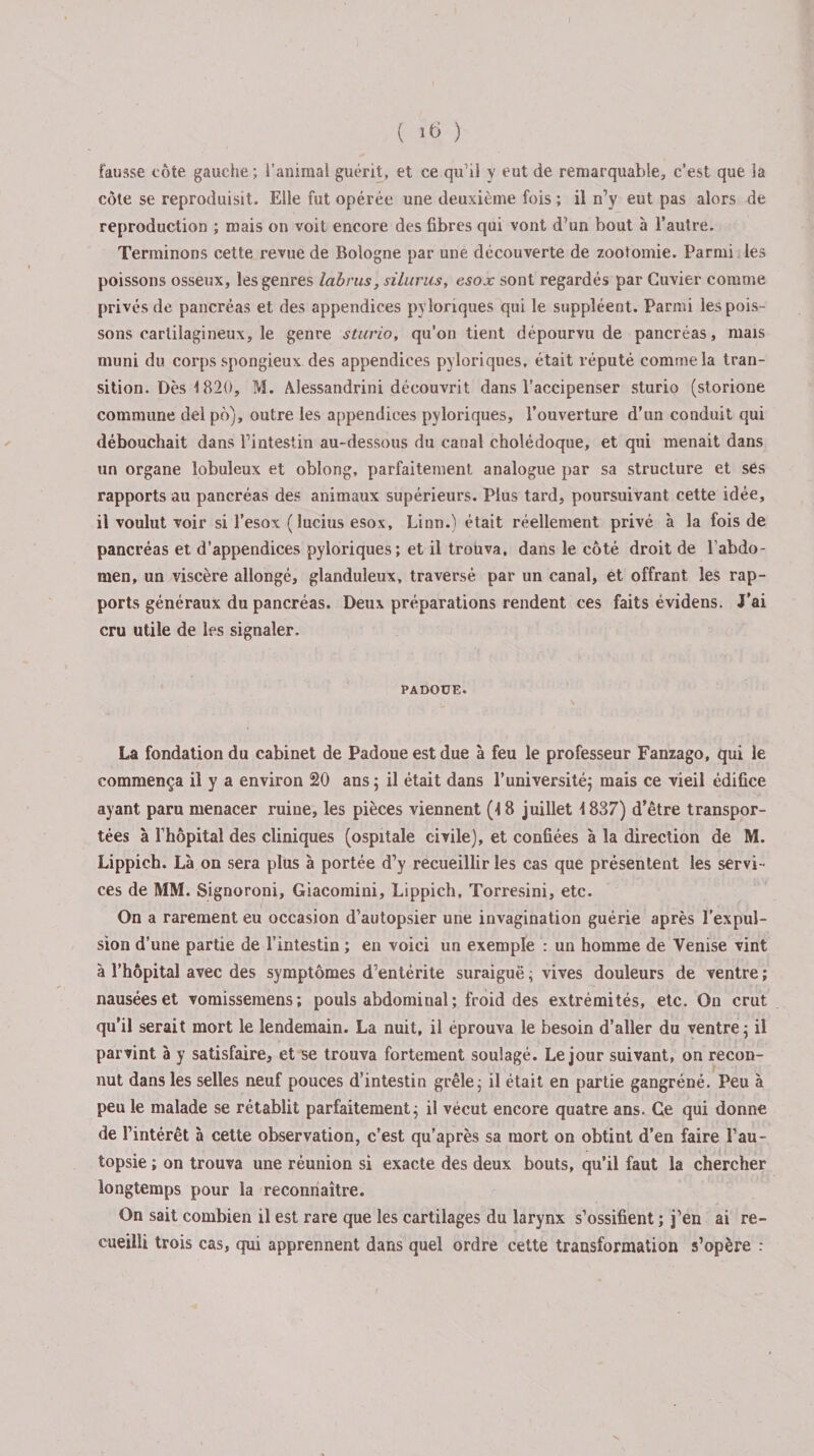 ( lt&gt; ) fauâse côte gauche ; l’animal guérit, et ce qu’il y eut de remarquable, c’est que la côte se reproduisit. Elle fut opérée une deuxième fois ; il n’y eut pas alors de reproduction ; mais on voit encore des fibres qui vont d’un bout à l’autre. Terminons cette revue de Bologne par une découverte de zootomie. Parmi les poissons osseux, les genres labrus, silurus, esox sont regardés par Cuvier comme privés de pancréas et des appendices pyloriques qui le suppléent. Parmi les pois¬ sons cartilagineux, le genre sturio, qu’on tient dépourvu de pancréas, mais muni du corps spongieux des appendices pyloriques, était réputé comme la tran¬ sition. Dès 1820, M. AJessatidrini découvrit dans l’accipenser sturio (storione commune del pô), outre les appendices pyloriques, l’ouverture d’un conduit qui débouchait dans l’intestin au-dessous du canal cholédoque, et qui menait dans un organe lobuleux et oblong, parfaitement analogue par sa structure et ses rapports au pancréas des animaux supérieurs. Plus tard, poursuivant cette idée, il voulut voir si l’esox ( lucius esox, Linn.) était réellement privé à la fois de pancréas et d’appendices pyloriques; et il trouva, dans le côté droit de l'abdo¬ men, un viscère allongé, glanduleux, traversé par un canal, et offrant les rap¬ ports généraux du pancréas. Deux préparations rendent ces faits évidens. J’ai cru utile de les signaler. PADOUE. La fondation du cabinet de Padoue est due à feu le professeur Fanzago, qui le commença il y a environ 20 ans ; il était dans l’université; mais ce vieil édifice ayant paru menacer ruine, les pièces viennent (18 juillet 1837) d’être transpor¬ tées à l’hôpital des cliniques (ospitale civile), et confiées à la direction de M. Lippich. Là on sera plus à portée d’y recueillir les cas que présentent les servi¬ ces de MM. Signoroni, Giacomini, Lippich, Torresini, etc. On a rarement eu occasion d’autopsier une invagination guérie après l’expul¬ sion d’une partie de l’intestin ; en voici un exemple : un homme de Venise vint à l’hôpital avec des symptômes d’entérite suraiguë ; vives douleurs de ventre ; nausées et vomissemens; pouls abdominal; froid des extrémités, etc. On crut qu’il serait mort le lendemain. La nuit, il éprouva le besoin d’aller du ventre ; il parvint à y satisfaire, et se trouva fortement soulagé. Le jour suivant, on recon¬ nut dans les selles neuf pouces d’intestin grêle ; il était en partie gangréné. Peu à peu le malade se rétablit parfaitement ; il vécut encore quatre ans. Ce qui donne de l’intérêt à cette observation, c’est qu’après sa mort on obtint d’en faire l’au¬ topsie ; on trouva une réunion si exacte des deux bouts, qu’il faut la chercher longtemps pour la reconnaître. On sait combien il est rare que les cartilages du larynx s’ossifient ; j’en ai re¬ cueilli trois cas, qui apprennent dans quel ordre cette transformation s’opère :