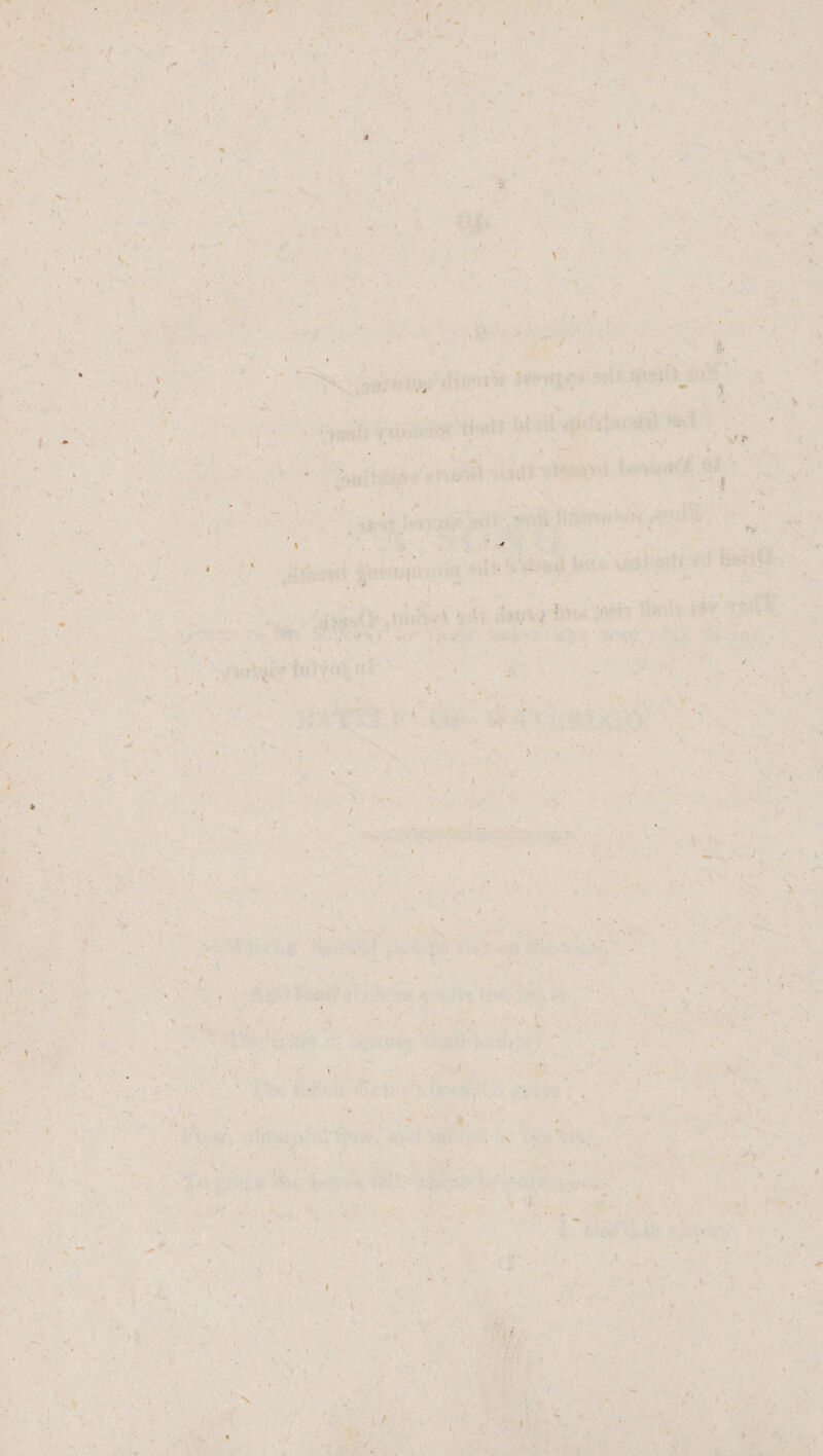J ; \ i X / J H® . • • ' 0 ' . • \ - i * 1 , ■ . * - . . 1 • . : .! V < /