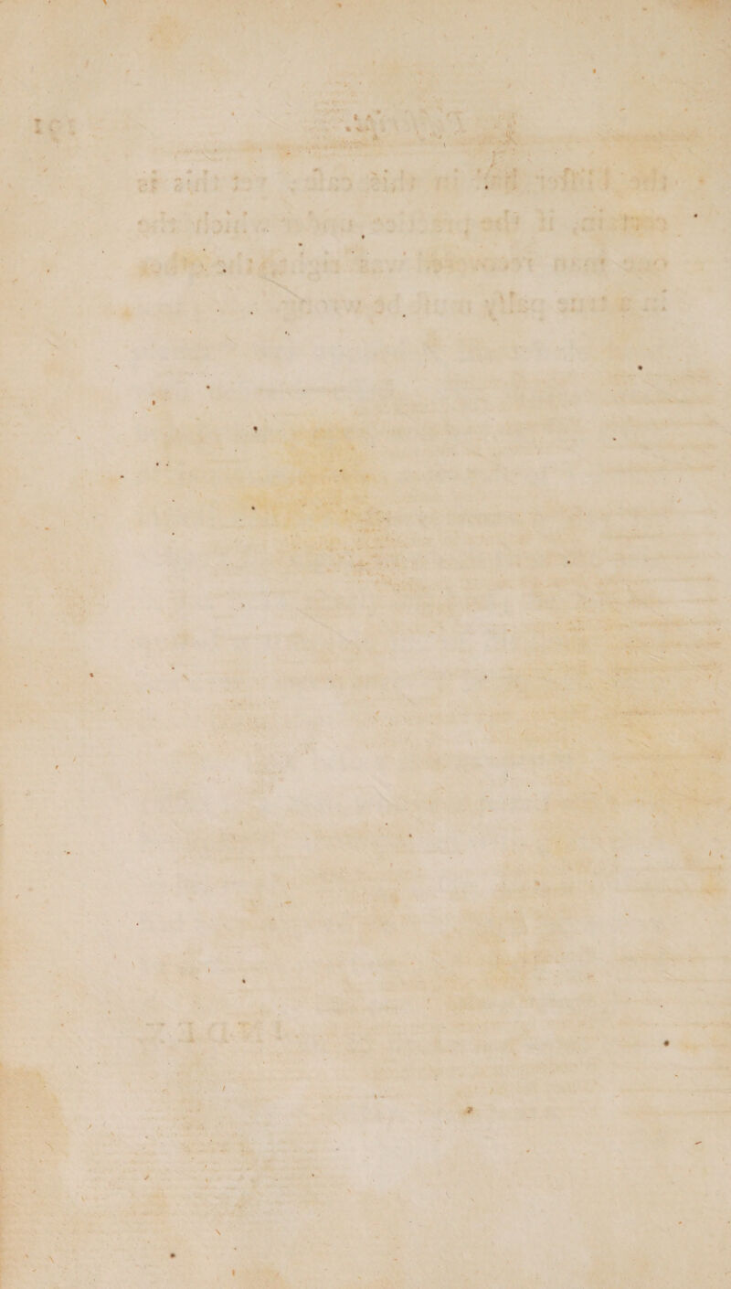 * » t v - . f i »' - ' «. V ✓ \ 9 »