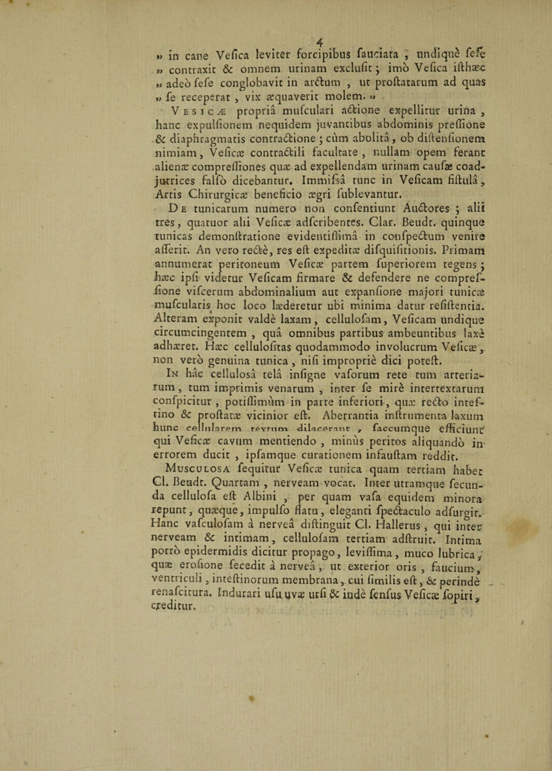 „ in cane Vefica leviter forcipibus fauciara , undique fefe 5^ contraxit & omnem urinam exclulit j imo Vefica idhasc „ adeo fefe conglobavit in ardum , ut prodatarum ad quas i» fe receperat , vix aequaverit molem. » Vesica propria mufculari adione expellitur urina * hanc expuitionem nequidem juvantibus abdominis predione dc diaphragmatis contradione ; cum abolita , ob didenfionem nimiam, Vefica? contraditi facultate, nullam opem ferant alienae comprefliones qua? ad expellendam urinam caufa» eoad- jutrices fallo dicebantur. Immifsa tunc in Velicam fidula* Artis Chirurgica? beneficio aegri fublevantur. D e tunicarum numero non confentiunt Audores ; alii tres, quatuor alii Veficae adferibentes. Clar. Beudt, quinque tunicas demonltratione evidentifiima in confpedum venire afierit. An vero rede, res ed expeditae difquifitionis. Primani annumerat peritoneum Vefica? partem fuperiorem tegens ; hasc ipli videtur Velicam firmare & defendere ne compref- iione vifcerum abdominalium aut expanfione majori tunica mufcularis hoc loco lrederetur ubi minima datur relidentia. Alteram exponit valde laxam, cellulofam, Velicam undique circumcingentem , qua omnibus partibus ambeuntibus laxe adhaeret. Haec cellulolitas quodammodo involucrum Veficse, non vero genuina tunica , nili improprie dici poted. In hac cellulosa tela infigne vaforum rete tum arterial¬ ium , tum imprimis venarum , inter fe mire intertextarum confpicitur , potidimum in parte inferiori, quae redo intef- tino Sc prodata? vicinior ed. Aberrantia indrumenta laxum hlinc cellularem tPYttim dilacerant , faccunique efficiunt qui Ve&ca? cavum mentiendo , minus peritos aliquando in* errorem ducit , ipfamque curationem infaudam reddit. Musculosa fequitur Veficae tunica quam tertiam habet Cl. Beudt. Quartam , nerveam vocar. Inter utramque fecun¬ da cellulofa ed Albini , per quam vafa equidem minora repunt, qnaeque, impulfo flatu, eleganti fpedaculo adfurgir. Hanc vafculofam a nervea didinguit Cl. Hallerus , qui inter nerveam Sc intimam, cellulofam tertiam addruit. Intima porro epidermidis dicitur propago, levillima, muco lubrica 3 qua? erofione fecedit a nervea,. ut exterior oris , faucium, ventriculi , intedinorum membrana,. cui fimilis ed, Sc perinde renafeitura. Indurari ufu uva? urfi Sc inde fenfus VeliCce fopiri * creditur.