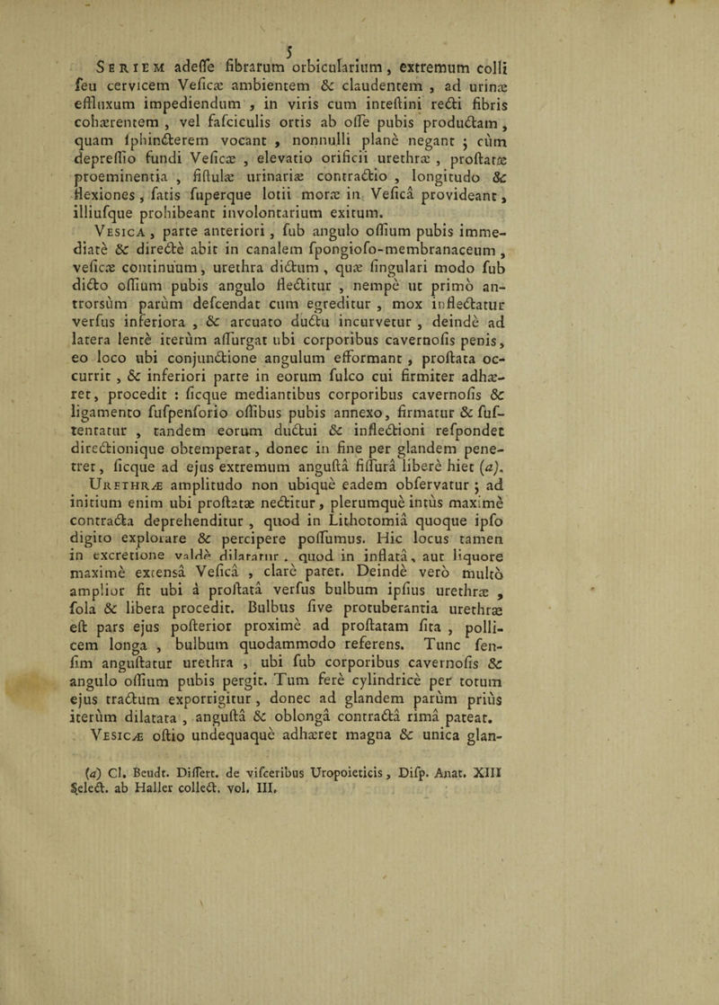 Seriem adefle fibrarum orbicularium, extremum colli feu cervicem Veficae ambientem 6c claudentem , ad urinae effluxum impediendum , in viris cum inteflini redi fibris cohaerentem , vel fafciculis ortis ab ode pubis produdam , quam lphinderem vocant , nonnulli plane negant ; cum deprefflo fundi Veficae , elevatio orificii urethrae , proflare proeminentia , iiftulce urinariae contradio , longitudo & flexiones * fatis fuperque lotii morae in Vefica provideant, illiufque prohibeant involontarium exitum. Vesica , parte anteriori, fub angulo odium pubis imme¬ diate 8c diredbe abit in canalem fpongiofo-membranaceum , veficae continuum, urethra didum , quae fingulari modo fub dido odium pubis angulo deditur , nempe ut primo an- trorsum parum defcendat cum egreditur , mox i nfl edatur verfus inferiora , & arcuato dudu incurvetur , deinde ad latera lente iterum aflurgat ubi corporibus cavernods penis, eo loco ubi conjundione angulum efformant , proftata oc¬ currit , &c inferiori parte in eorum fulco cui firmiter adhae¬ ret, procedit : ficque mediantibus corporibus cavernods 8c ligamento fufpenforio offlbus pubis annexo, firmatur & fuf- tenratur , tandem eorum dudui & indedioni refpondec diredionique obtemperat, donec in fine per glandem pene¬ trer, dcque ad ejus extremum angufla fidura libere hiet (a). Urethrae amplitudo non ubique eadem obfervatur ; ad initium enim ubi proflatae neditur, plerumque intus maxime contrada deprehenditur , quod in Lithotomia quoque ipfo digito explorare Sc percipere pofflimus. Hic locus tamen in cxcretione valde dilararnr . quod in inflata, aut liquore maxime extensa Vedca , clare paret. Deinde vero multo amplior fit ubi a proftata verfus bulbum ipdus urethne , fola & libera procedit. Bulbus dve protuberantia urethrae eft pars ejus poflerior proxime ad proflatam dta , polli¬ cem longa , bulbum quodammodo referens. Tunc fen- d.m anguflatur urethra , ubi fub corporibus cavernods 8c angulo offium pubis pergit. Tum fere cylindrice per totum ejus tradum exporrigitur , donec ad glandem parum prius iterum dilatata , angufla Sc oblonga contrada rima pateat. Vesica oflio undequaque adhaeret magna & unica glan- {ri) Cl. Beudt. Differt, de vifceribus Uropoieticis, Difp. Anat. XIII §eled. ab Haller colled. vol, III,