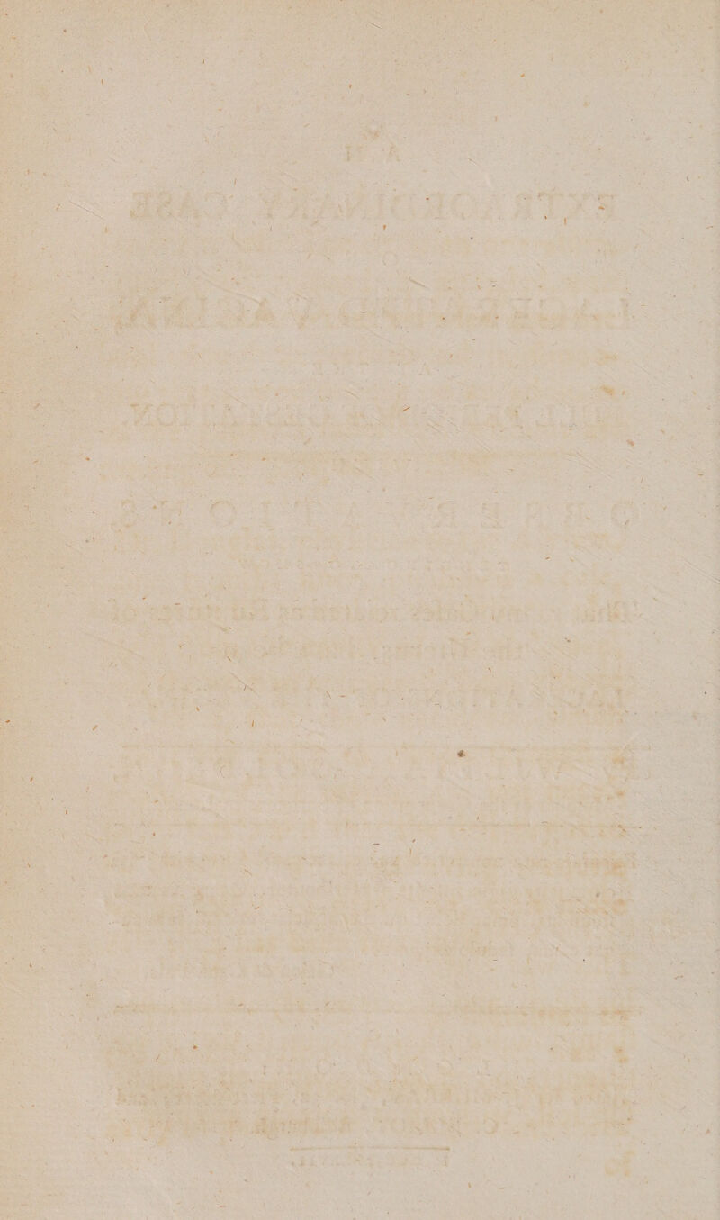 \ l »- * . \ I I \ • r ✓ * \ k : \ ^ * rJ \ / \ ~ » « < , f / - ' , \