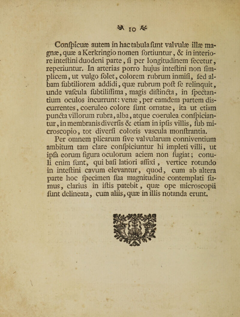 W IO & Confpicuas autem in hac tabula funt valvulas illas ma¬ gnas, quas a Kerkringio nomen fortiuntur, & in interio¬ re inteftiniduodeni parte, fi per longitudinem fecetur, reperiuntur. In arterias porro hujus inteftini non fim- plicem, ut vulgo folet, colorem rubrum inmifi, fed al¬ bam fubtiliorem addidi, quae rubrum poft fe relinquit, unde vafcula fubtiliffima, magis diftindia, in fpedtan- tium oculos incurrunt: venas,per eamdem partem dis¬ currentes , coeruleo colore funt ornatae, ita ut etiam pundtavillorum rubra,alba, atque coerulea confpician- tur, in membranis di verfis & etiam inipfis villis, fub mi- croscopio, tot diverfi coloris vascula monftrantia. Per omnem plicarum five valvularum conniventium ambitum tam clare confpiciuntur hi impleti villi, ut ipfa eorum figura oculorum aciem non fugiat; conu- li enim funt, qui bafi latiori affixi, vertice rotundo in inteftini cavum elevantur, quod, cum ab altera parte hoc lpecimen fua magnitudine contemplati fu¬ mus, clarius in iftis patebit, quas ope microscopii funt delineata, cum aliis, quas in illis notanda erunt.