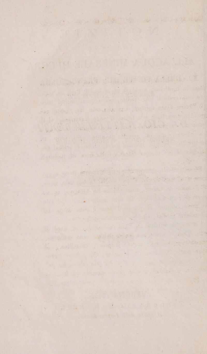 ' ;v. * > . ì , . ? •/ '. ■ ' * V* '• ■ * , V, * ■. 4 * ' - ■ -