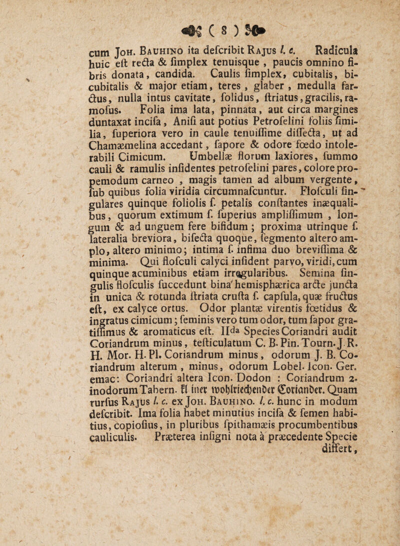 4$ ( s ) cum Joh. Bauhino ita defcribit Rajus l c. Radicula huic eft reda & fimplex tenuisque , paucis omnino fi¬ bris donata, candida. Caulis fimplex, cubitalis, bi¬ cubitalis & major etiam, teres , glaber , medulla far- dus, nulla intus cavitate, folidus, ftriatus, gracilis, ra- mofus. Folia ima lata, pinnata, aut circa margines duntaxat incifa, Anifi aut potius Petrofelini foliis fimi- lia, fuperiora vero in caule tenuiflime difleda, u)t ad Chamaemelina accedant, fapore & odore foedo intole¬ rabili Cimicum. Umbellae florum laxiores, fummo cauli & ramulis infidentes petrofelini pares, colorepro- pemodum carneo , magis tamen ad album vergente, fub quibus folia viridia circumnafcuntur. Flofculi fin-  gulares quinque foliolis f. petalis conflantes inaequali¬ bus , quorum extimum f. fuperius ampliffimum , lon¬ gum & ad unguem fere bifidum; proxima utrinque f. lateralia breviora, bifeda quoque, fegmento altero am¬ plo, altero minimo; intima f. infima duo breviflima & minima. Qui flofculi calyci infident parvo, viridi3cum quinque acuminibus etiam irregularibus. Semina An¬ gulis flofculis fuccedunt bina hemisphaerica arde junda in unica & rotunda ftriata crufta f. capfula, quae frudus eft, ex calyce ortus. Odor plantae virentis foetidus & ingratus cimicum; feminis vero tum odor, tum fapor gra- tiflimus & aromaticus eft. II<la Species Coriandri audit Coriandrum minus, tefliculatum C. B-Pin.Tourn.J R. H. Mor. H. PL Coriandrum minus, odorum J. B. Co¬ riandrum alterum , minus, odorum Lobel. Icon. Gen etnac: Coriandri altera Icon. Dodon : Coriandrum 2* inodorumTabern. tl tner mob;lrted)enDa Souanbet. Quam rurfus Rajus /. c. ex Joh. Bauhino. /. c. hunc in modum defcribit Ima folia habet minutius incifa & femen habi¬ tius, dopiofius, in pluribus fpithamseis procumbentibus cauliculis. Praeterea infigni nota a praecedente Specie differt,