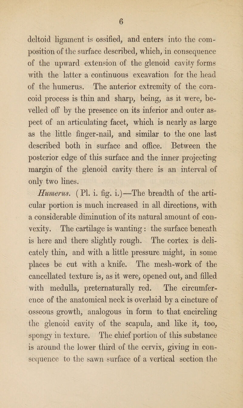 deltoid ligament is ossified, and enters into the com¬ position of the surface described, which, in consequence of the upward extension of the glenoid cavity forms with the latter a continuous excavation for the head of the humerus. The anterior extremity of the cora¬ coid process is thin and sharp, being, as it were, be¬ velled off by the presence on its inferior and outer as¬ pect of an articulating facet, which is nearly as large as the little finger-nail, and similar to the one last described both in surface and office. Between the posterior edge of this surface and the inner projecting margin of the glenoid cavity there is an interval of only two lines. Humerus. (PI. i. fig. i.)—The breadth of the arti¬ cular portion is much increased in all directions, with a considerable diminution of its natural amount of con¬ vexity. The cartilage is wanting : the surface beneath is here and there slightly rough. The cortex is deli¬ cately thin, and with a little pressure might, in some places be cut with a knife. The mesh-work of the cancellated texture is, as it were, opened out, and filled with medulla, preternaturally red. The circumfer¬ ence of the anatomical neck is overlaid by a cincture of osseous growth, analogous in form to that encircling the glenoid cavity of the scapula, and like it, too, spongy in texture. The chief portion of this substance is around the lower third of the cervix, giving in con¬ sequence to the sawn surface of a vertical section the