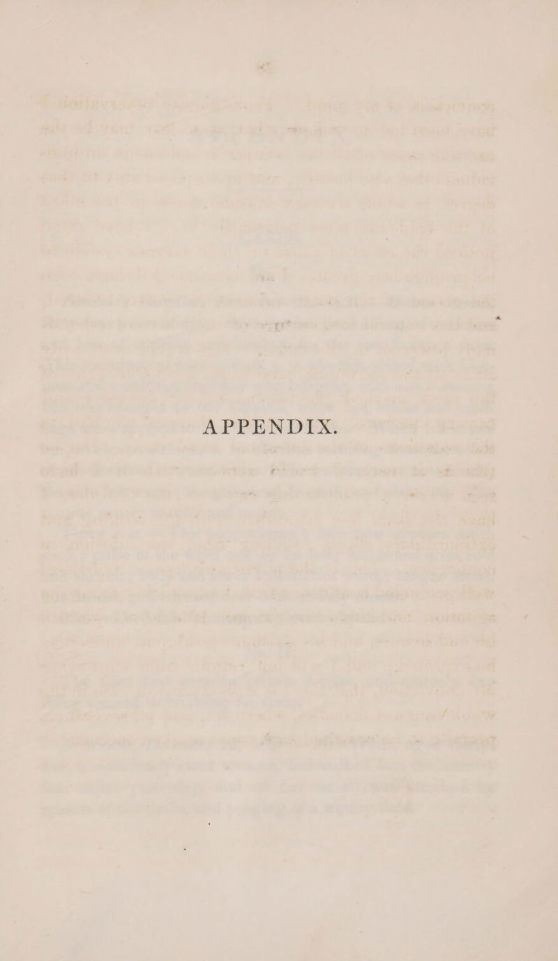 APPENDIX.