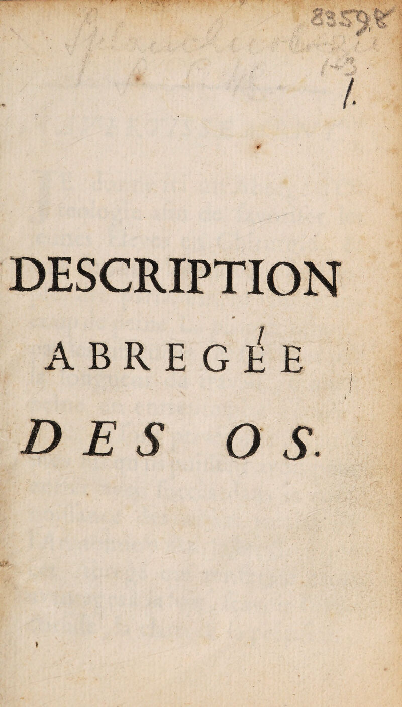 DESCRIPTION ABREGEE DES OS. »