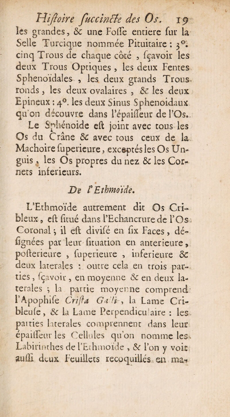 les grandes, 8c une Folle entière fur la Selle Turcique nommée Pituitaire: cinq Trous de chaque coté , feavoir les deux Trous Optiques , les deux Fentes Sphénoïdales , les deux grands Trous, ronds, les deux ovalaires , 8z les deux Epineux : 40. les deux Sinus Sphenoidaux qu'on découvre dans Fépaiffeur de FOs.. Le Sphénoïde eft joint avec tons les Os du Crâne 8c avec tous ceux de la Mâchoire fuperieure, exc&ptés les Os Un- guis , les Os propres du nez 8c les Cor¬ nets inferieurs. De VEîbmoide. L’Ethmoïde autrement dit Os Cri- bleux, eft (itué dans l’Echancrure de l’Os Coronal -, il eft divifé en fix Faces, dé- lignées par leur fituation en anterieure, pofterieure , fuperieure , inferieure 8c deux latérales : outre cela en trois par¬ ties , fçavoir, en moyenne 8c en deux la¬ térales *, la partie moyenne comprend l’Apophife Crifîa G i !i , la Lame Cri- bleufe, 8c la Lame Perpendicu'aire : les pa rties latérales comprennent dans leur épailfeur les Cellules qu’on nomme les> Labirinthes de l’Ethmoïde , 8c l’on y voit auflï deux Feuillets recoquillés ea mai