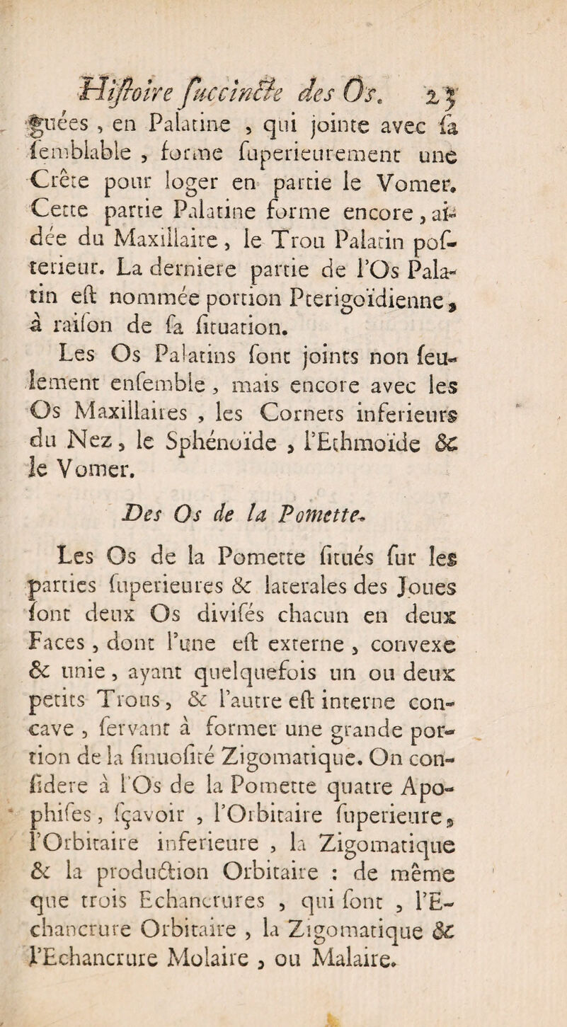 guées , en Palatine , qui jointe avec fa lemblable , forme fuperieurement une Crête pour loger en partie le Vomer. Cette partie Palatine forme encore , ai¬ dée du Maxillaire, le Trou Palatin pos¬ térieur. La derniere partie de l’Os Pala¬ tin eft nommée portion Pterigoïdienne , â railon de fa fituation. Les Os Palatins font joints non feu¬ lement enfemble , mais encore avec les Os Maxillaires , les Corners inferieurs du Nez, le Sphénoïde > l’Ethmoïde ÔC le Vomer. Des Os de U P omette* Les Os de la Pomette (îtués fur les parties fuperieures Ôc latérales des Joues font deux Os divifés chacun en deux Faces , dont l’une eft externe , convexe ôc unie, ayant quelquefois un ou deux petits Trous, ôc l’autre eft interne con¬ cave , fervant à former une grande por¬ tion de la fînuofité Zigomatique. On con- fïdere à l'Os de la Pomette quatre Apo- phifes, fçavoir , l’Orbicaire friperieore* l’Orbitaire inferieure , la Zigomatique ôc la production Orbitaire : de même que trois Echancrures , qui font , l’E¬ chancrure Orbitaire , la Zigomatique ÔC