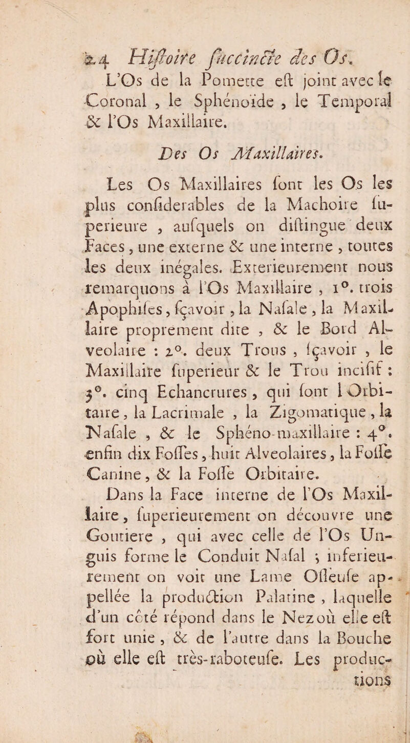 L’Os de la Pomette elt joint avec le ■Coronal , le Sphénoïde , le Temporal ôc l’Os Maxillaire. Des Os Maxillaires. Les Os Maxillaires (ont les Os les plus confiderables de la Mâchoire iu- perieure , aufquels on diftingue deux Faces , une externe ôc une interne > toutes les deux inégales. Extérieurement nous remarquons à l’Os Maxillaire , i°. trois Apophiies, fçavoir , la Natale , la Maxil¬ laire proprement due , ôc le Bord Al¬ véolaire : i°. deux Trous , (çavoir , le Maxillaire fuperieur ôc le Trou incifif : 30. cinq Echancrures, qui font 1 Orbi¬ taire , la Lacrimale , la Zigomatique , la Nafale , Ôc le Sphéno-maxillaire : 4°. enfin dix Folles, huit Alvéolaires, iaFulFe Canine, & la FolFe Orbitaire. Dans la Face interne de l’Os Maxil¬ laire , luperieurement on découvre une Gounere , qui avec celle de l’Os Un- guis forme le Conduit Nafal j înferieu- retnent on voit une Lame Olleufe ap- pellée la production Palatine , laquelle d’un coté répond dans le Nezoù elle eit fort unie , Ôc de l’autre dans la Bouche oà elle eft très-raboteufe. Les produc¬ tions