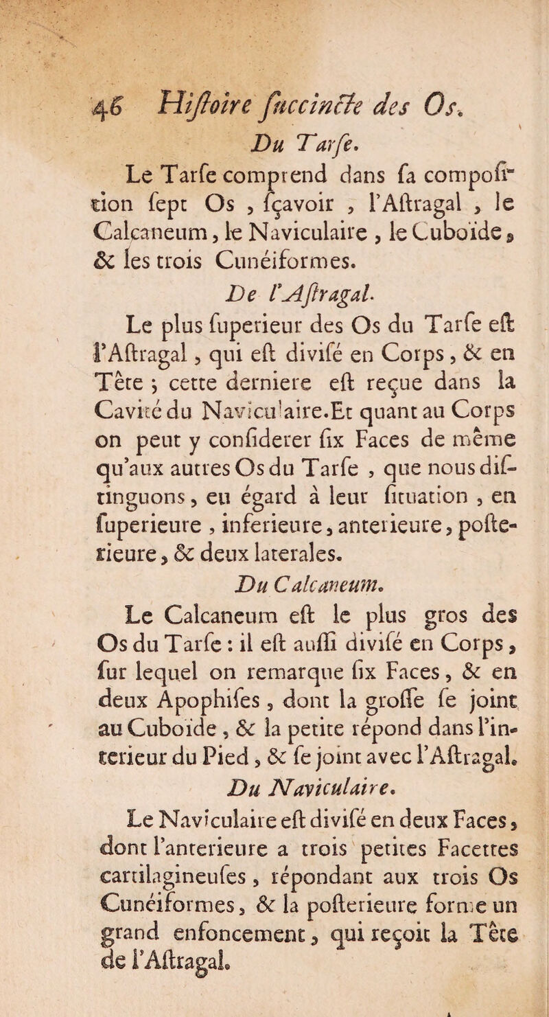 Du Tarfe. Le Tarfe comprend dans fa compofr don fept Os , fçavoir , l’Aftragal , le Calcanéum, le Naviculaire , le Cuboïde 9 ôc les trois Cunéiformes. De l'AftragaL Le plus fuperieur des Os du Tarfe eft l’Aftragal, qui eft divifé en Corps, & en Têre \ cette derniere eft reçue dans la Cavité du Naviculaire.Et quant au Corps on peut y confiderer Ex Faces de même qu’aux autres Os du Tarfe , que nous dis¬ tinguons , eu égard à leur fituation , en Supérieure , inférieures anterieure, pofte- rieure* ôc deux latérales. Du Calcanéum. Le Calcanéum eft le plus gros des Os du Tarfe : il eft aufli divifé en Corps, fur lequel on remarque fix Faces, & en deux Apophifes 3 dont la groftfe le joint au Cuboïde , Sc la petite répond dans l’in- teneur du Pied 5 & fe joint avec l’AftragaL Du Nayiculaire. Le Naviculaire eft divifé en deux Faces y dont Fanterieure a trois petites Facettes cartilagineufes, répondant aux trois Os Cunéiformes s ôc la pofterieure forme un grand enfoncement a qui reçoit la Tête de l'Aftragal.