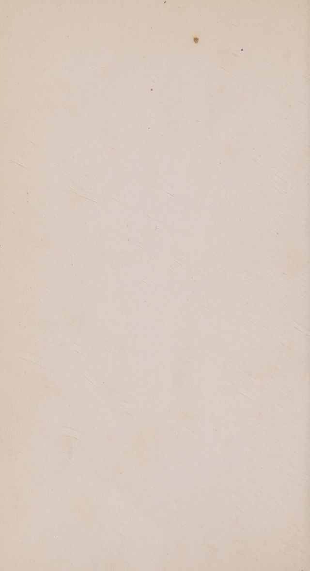 digitised image 2