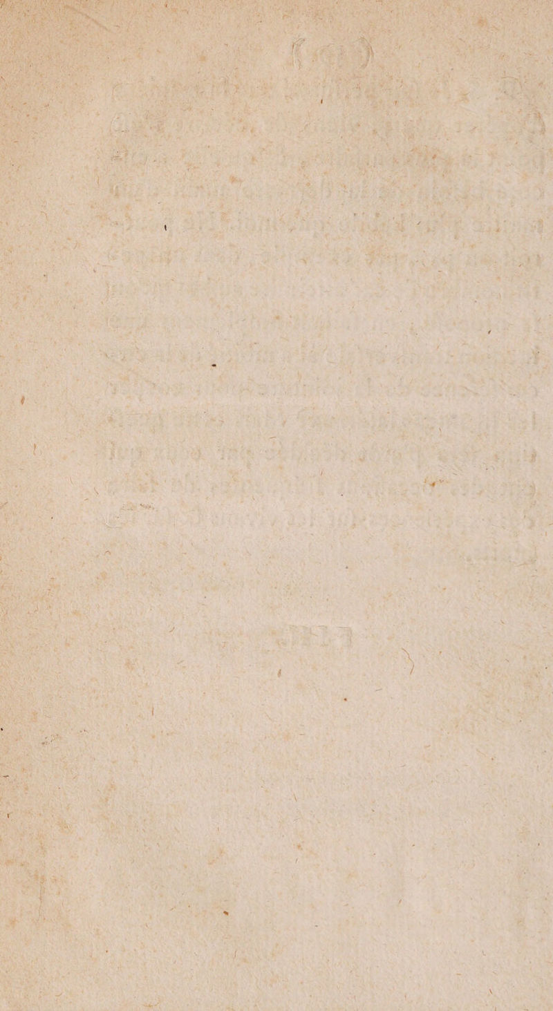 V • •• . ' : ■ , t; « 1 ' f' --- - '! v V-, ■ V _ / . 71? 1 * » ■ : il - L ,'È ■, * : . •> : \ 7