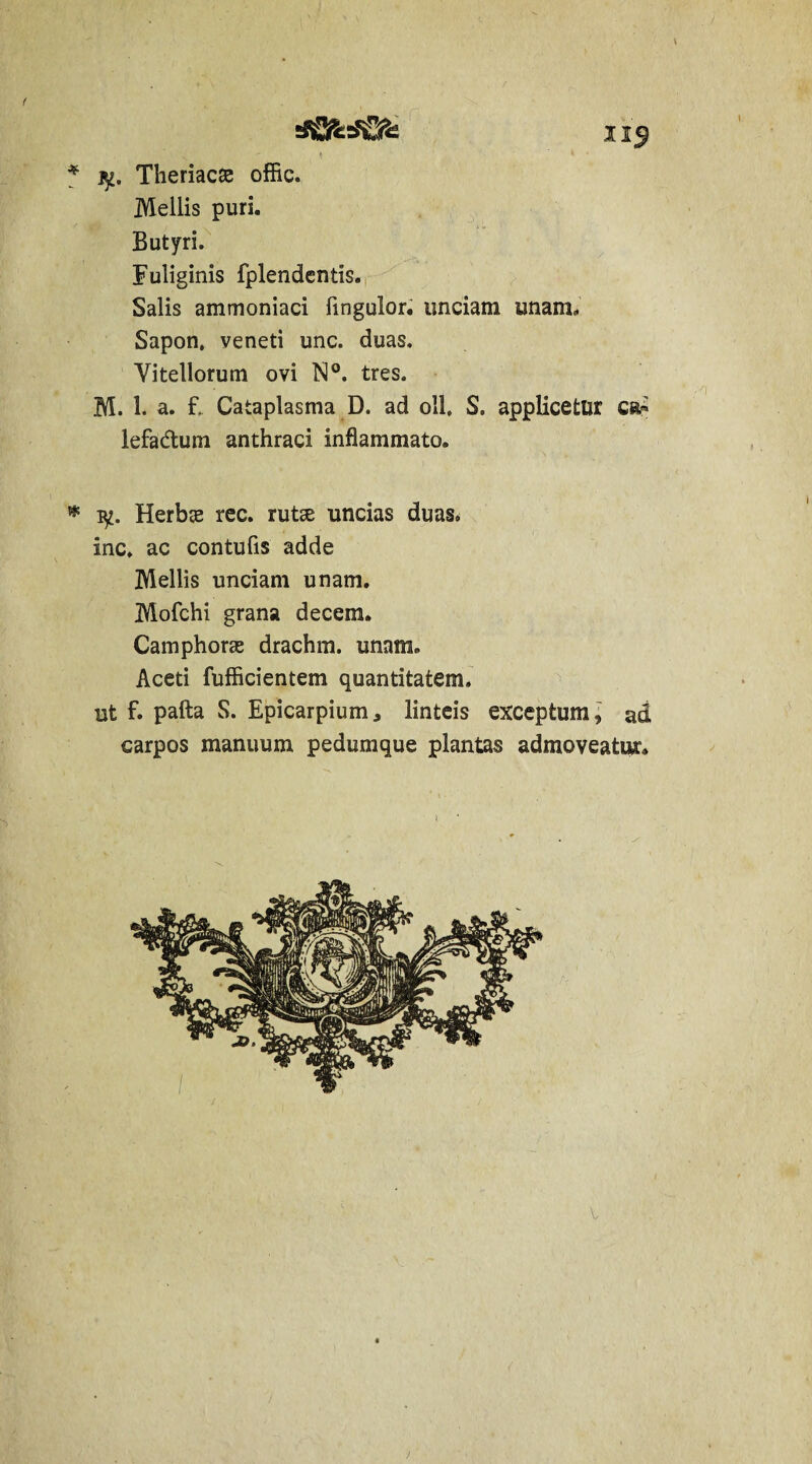 / 115 * jy. Theriacae offic. Mellis puri. Butyri. Fuliginis fplendentis. Salis ammoniaci lingulor. unciam unam. Sapon. veneti unc. duas. Vitellorum ovi N°. tres. M. 1. a. f. Cataplasma D. ad oli, S. applicetur lefadtum anthraci inflammato. * 1^. Herbte rec. rutte uncias duas, inc. ac contufis adde Mellis unciam unam. Mofchi grana decem. Camphoras drachm. unam. Aceti fufficientem quantitatem, ut f. pafta S. Epicarpium, linteis exceptum, ad carpos manuum pedumque plantas admoveatur. v