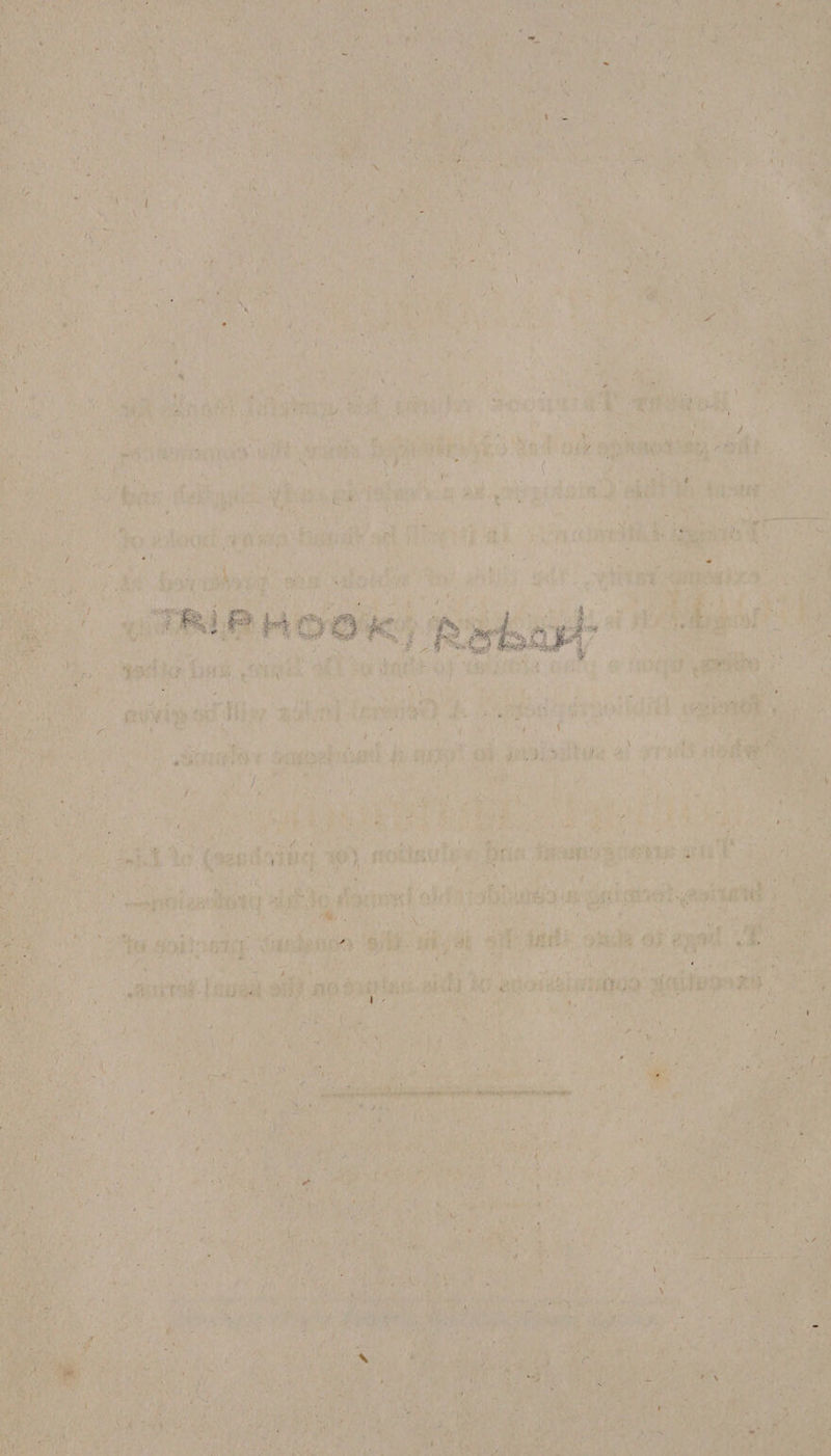 • I { \ i ■ ft 4 fU I . S ( # l N , , j v