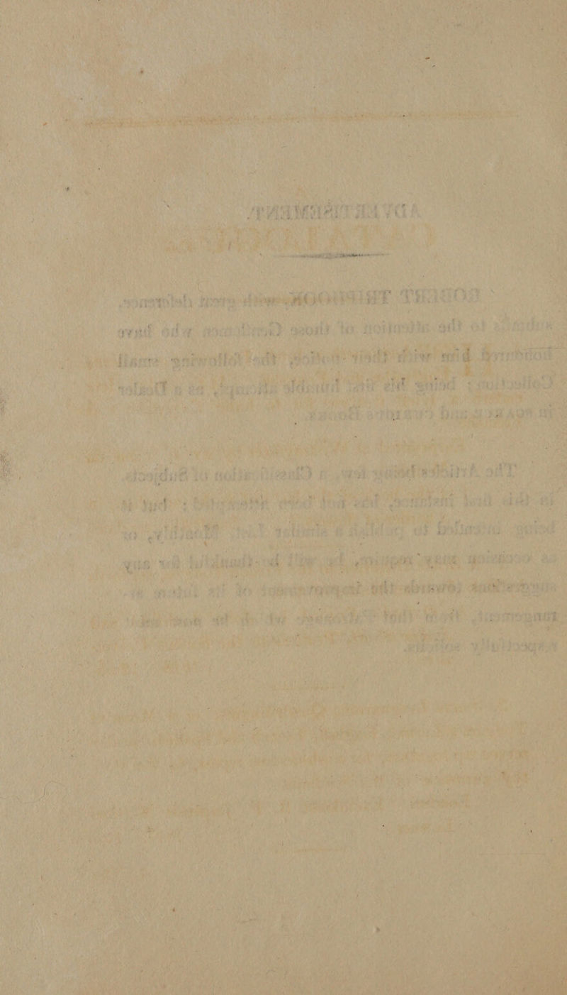 ... - » ; ' ■’ ‘ ( < »* ? . ,f] S ; ■ ■ . : ’ • - • ' •;';r . ■ . i > u . • ' - ■ ' -■ ■ i ■1- ><«: ''