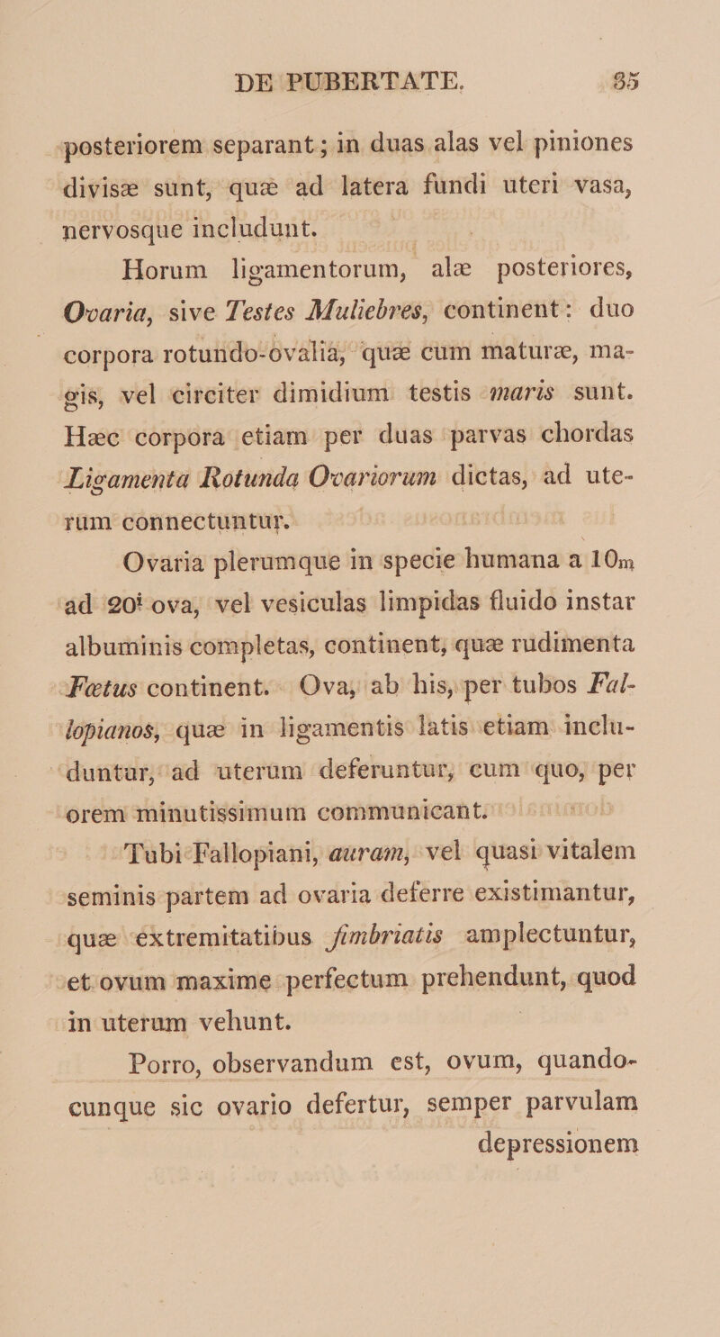 posteriorem separant; in duas alas vel piniones divisae sunt, quae ad latera fundi uteri vasa, nervosque includunt. Horum ligamentorum, alae posteriores, Ovaria, sive Testes Muliebres, continent: duo corpora rotundo-ovali^^ quue cum matura, ma¬ gis, vel circiter dimidium testis maris sunt. Haec corpora etiam per duas parvas chordas Limmenta Rotmida Ovariorum dictas, ad ute- O ' ' ' rum connectuntur. Ovaria plerumque in specie humana a IG^ ad 20^ ova, vel vesiculas limpidas fluido instar albuminis completas, continent, quae rudimenta Fcetus continent. Ova, ab his, per tubos FaT lopianos, quae in ligamentis latis etiam inclu¬ duntur, ad uterum deferuntur, cum quo, per orem minutissimum communicant. Tubi Fallopiani, auram, vel c^uasi vitalem seminis partem ad ovaria deferre existimantur, quae extremitatibus fimbriatis amplectuntur, et ovum maxime perfectum prehendunt, quod in uterum vehunt. Porro, observandum est, ovum, quando^ cunque sic ovario defertur, semper parvmlam depressionem