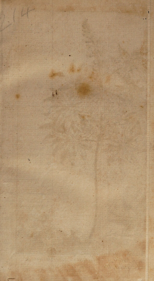 digitised image 1