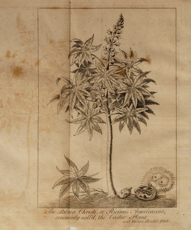 digitised image 2