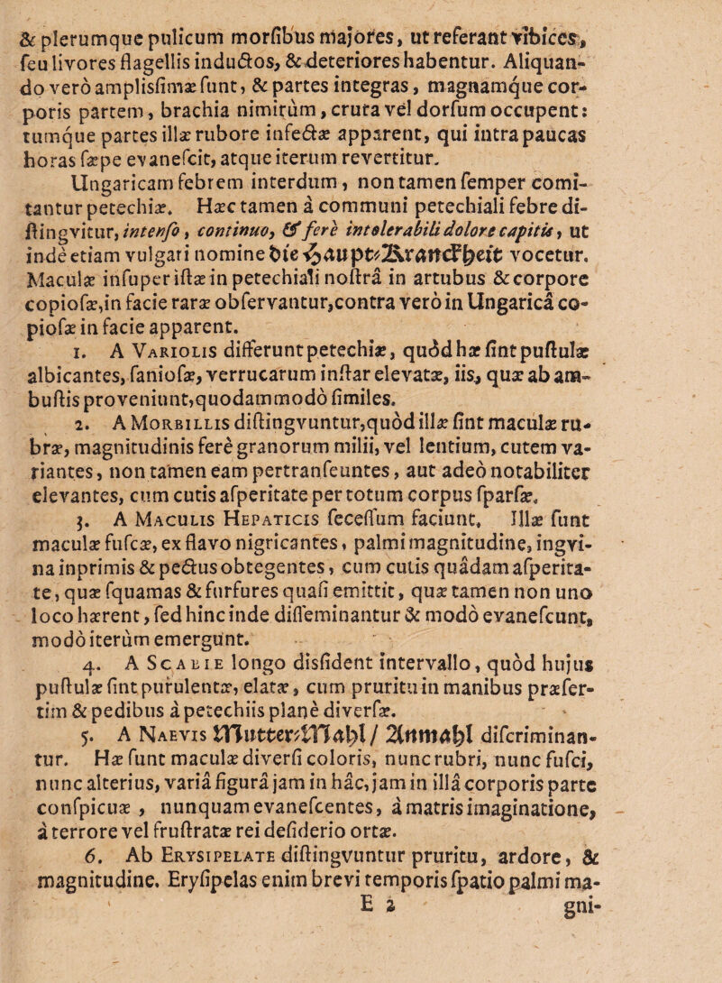 & plerumque pulicum morfibus majores, ut referant vibices, fcu livores flagellis indudos, &deteriores habentur. Aliquan¬ do vero amplisfimaefuntj & partes integras, magnamque cor¬ poris partem, brachia nimirum, crura vel dorfum occupent: tumque partes ilis rubore infedae apparent, qui intra paucas horas faepe evanefcit, atque iterum revertitur. Ungaricam febrem interdum, non tamen femper comi¬ tantur petechiae. Haec tamen a communi petecbiali febre di- flingvitur, intenfo, continuo, & fere intolerabili dolore capitis, ut inde etiam vulgari nomine vocetur. Maculat infuperiftaein petechiali noftra in artubus &corpore copiofae,m facie rarae obfervantur3contra vero in Ungarica co¬ pi ofe in facie apparent. 1. A Variolis differuntpetechiae, qu<5dhaefintpuftulas albicantes, faniofe, verrucarum infiar elevatae, iis, quae ab ana- buftis proveniunt,quodammodo fimiles, 2. A Morbillis diftingvuntur5quodillae fint maculae ru¬ brae, magnitudinis fere granorum milii, vel lentium, cutem va¬ riantes, non tamen eam pertranfeuntes, aut adeo notabiliter elevantes, cum cutis afperitate per totum corpus fparfe, A Maculis Hepaticis feceflum faciunt* Illae funt maculae fufeae, ex flavo nigricantes, palmi magnitudine, ingvi- na inprimis & pedus obtegentes, cum cutis quadam afperita¬ te, quae fquamas & furfures quafi emittit, quae tamen non uno loco haerent, fed hinc inde difleminantur & modo evanefcunt9 modo iterum emergunt. 4. A Scabie longo disfident intervallo, quod hujus puflulas fint purulentae, elatae, cum pruritu in manibus praefer- tim St pedibus a petechiis plane diverfae. 5. A Naevis XMxitttX^VCic^l j Qttmcfifi diferiminan- tur. Hae funt maculae diverfi coloris, nunc rubri, niincfufci, nunc alterius, varia figura jam in hac, jam in illa corporis parte confpicuae , nunquam evanefeentes, a matris imaginatione, a terrore vel fruftratae rei defiderio ortae. 6. Ab Erysipelate diftingvuntur pruritu, ardore, Sc magnitudine, Eryfipelas enim brevi temporis fpatio palmi rna- ' Es ' gni-