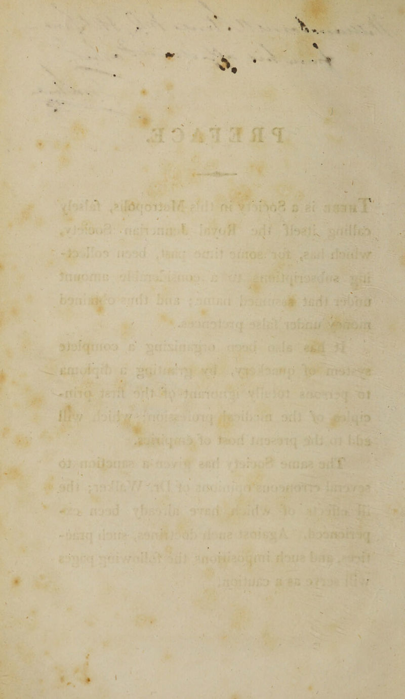 &gt; rN . * v\ ’ 4 * ** * ■: :; 9 . -• - ls - * ’ * ’ * ■ r ’ ,: f ‘ ' *•... •&gt; &gt; I ;■ 1 • ' ' • • V ■ * ' 1. . ■'V ' Mr ■ /