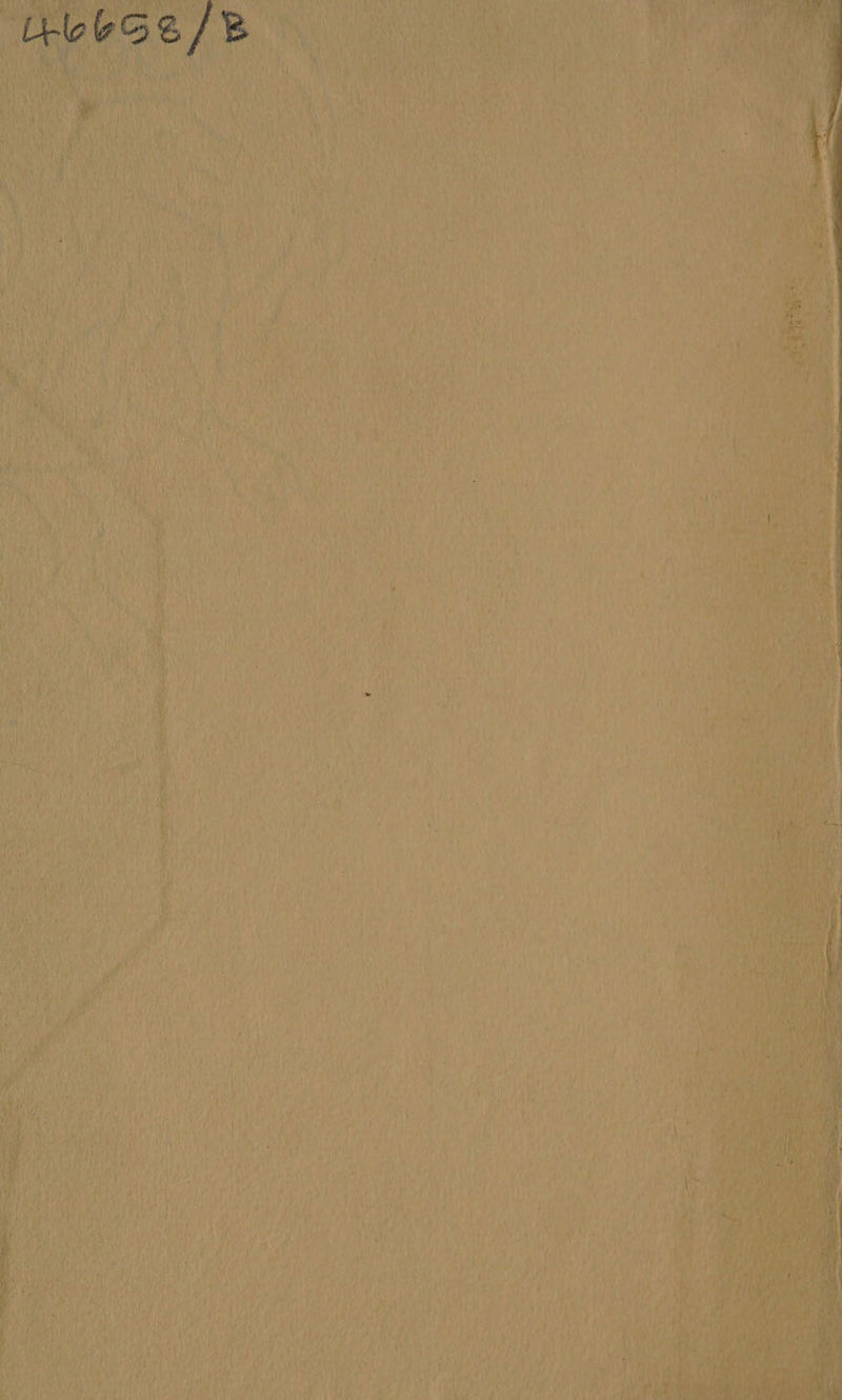 A ee hall re ; PINT ey, x in f oe : rt 4 > i 4 fan uae | | | 3 TRUE AE | pe i hee ‘ : ee} ie 4 uy ‘Wi ate f Whey ua’ ee al enn