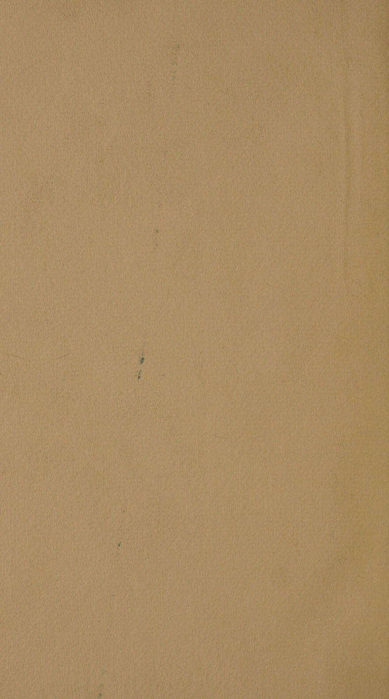 Sa > Sey Fahy AU aed Oa wii ihe x bet? ‘¥) mT y