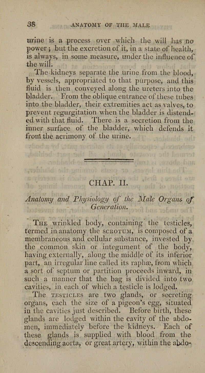urine is a process over which the will has no power ; but the excretion of it, in a state of health, is always, in some measure, under the influence of the will. The-kidneys separate the urine from the blood, by vessels, appropriated to that purpose, and this fluid is then conveyed along the ureters into the bladder. From the oblique entrance of these tubes into the bladder, their extremities act as valves, to prevent regurgitation when the bladder is distend¬ ed with that fluid. There is a secretion from the inner surface of the bladder, which defends it front the acrimony of the urine. CHAP. II. \ ;'l ’ , j Anatomy and Physiology of the Male Organs Generation. The wrinkled body, containing the testicles, termed in anatomy the scrotum, is composed of a membraneous and cellular substance, invested by the common skin or integument of the body, having externally, along the middle of its inferior part, an irregular line called its raphee, from which a sort of septum or partition proceeds inward, in such a manner that the bag is divided into two cavities, in each of which a testicle is lodged. The testicles are two glands, or secreting organs, each the size of a pigeon’s egg, situated in the cavities just described. Before birth, these glands are lodged within the cavity of the abdo¬ men, immediately before the kidneys. Each of these glands is supplied with blood from the descending aorta, or great artery, within the abdo-