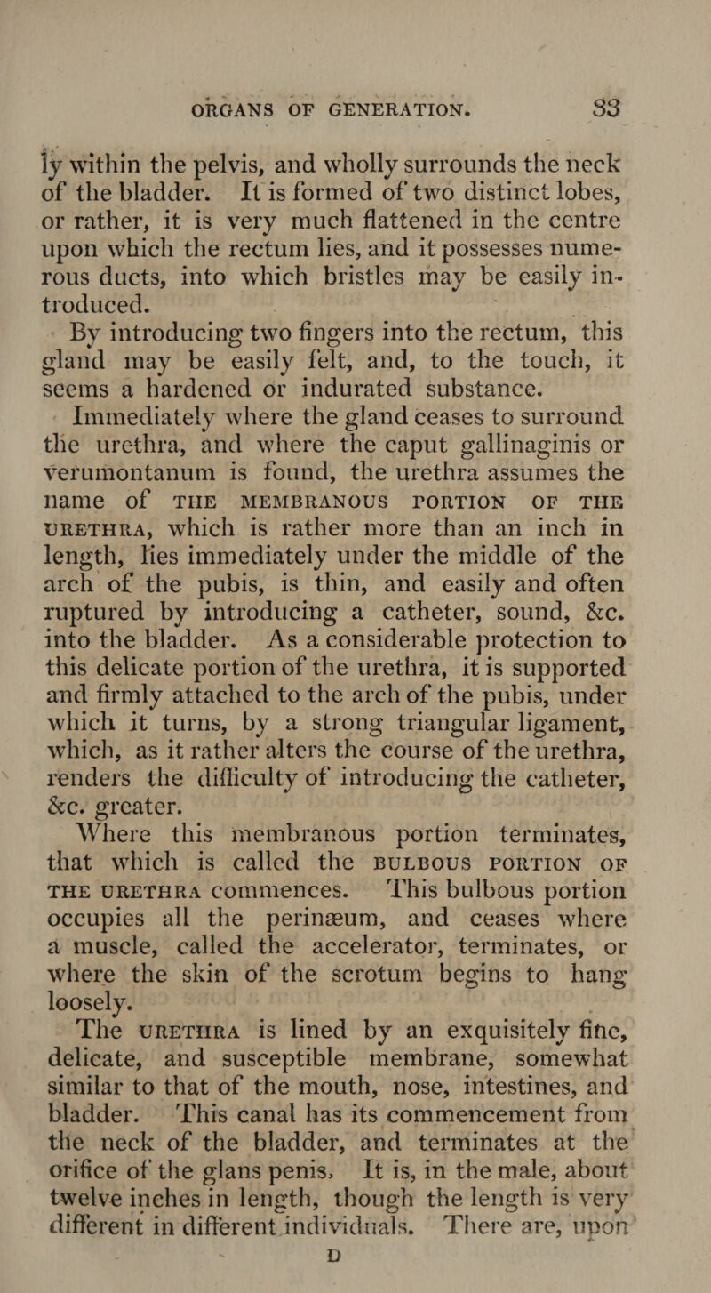 * •' ly within the pelvis, and wholly surrounds the neck of the bladder. It is formed of two distinct lobes, or rather, it is very much flattened in the centre upon which the rectum lies, and it possesses nume¬ rous ducts, into which bristles may be easily in¬ troduced. By introducing two Angers into the rectum, this gland may be easily felt, and, to the touch, it seems a hardened or indurated substance. Immediately where the gland ceases to surround the urethra, and where the caput gallinaginis or verumontanum is found, the urethra assumes the name of the membranous portion of the urethra, which is rather more than an inch in length, lies immediately under the middle of the arch of the pubis, is thin, and easily and often ruptured by introducing a catheter, sound, &c. into the bladder. As a considerable protection to this delicate portion of the urethra, it is supported and flrmly attached to the arch of the pubis, under which it turns, by a strong triangular ligament, which, as it rather alters the course of the urethra, renders the difficulty of introducing the catheter, &c. greater. Where this membranous portion terminates, that which is called the bulbous portion of the urethra commences. This bulbous portion occupies all the perinasum, and ceases where a muscle, called the accelerator, terminates, or where the skin of the scrotum begins to hang loosely. The urethra is lined by an exquisitely fine, delicate, and susceptible membrane, somewhat similar to that of the mouth, nose, intestines, and bladder. This canal has its commencement from the neck of the bladder, and terminates at the orifice of the glans penis. It is, in the male, about twelve inches in length, though the length is very different in different individuals. There are, upon D
