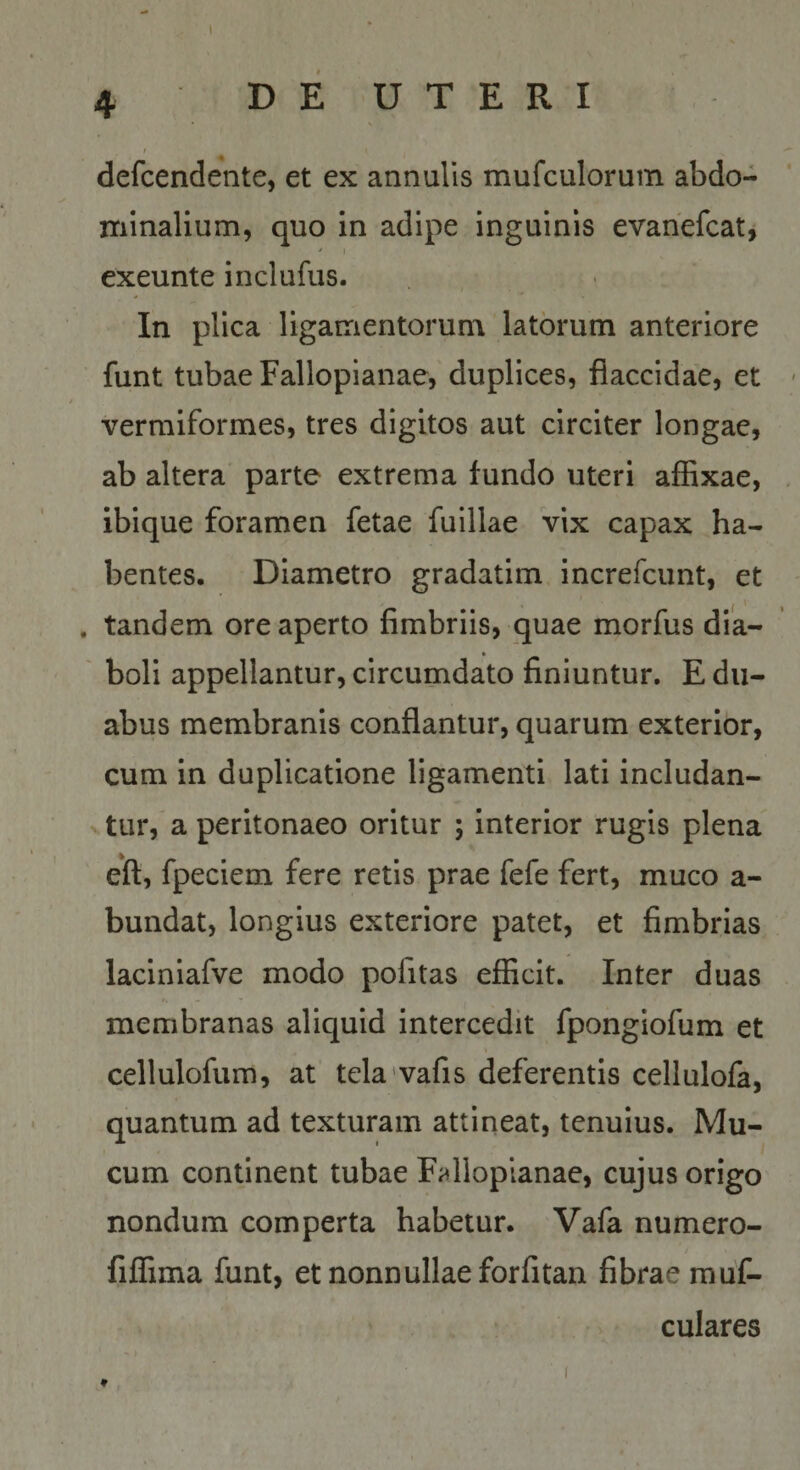 1 4 D E U T E R I • \ t ^ defcendente, et ex annulis mufculorum abdo¬ minalium, quo in adipe inguinis evanefcatj * I exeunte inclufus. In plica ligamentorum latorum anteriore funt tubae Fallopianae, duplices, flaccidae, et ' vermiformes, tres digitos aut circiter longae, ab altera parte extrema fundo uteri affixae, ibique foramen fetae fuillae vix capax ha¬ bentes. Diametro gradatim increfcunt, et . tandem ore aperto fimbriis, quae morfus dia¬ boli appellantur, circumdato finiuntur. E du¬ abus membranis conflantur, quarum exterior, cum in duplicatione ligamenti lati includan- H tur, a peritonaeo oritur ; interior rugis plena eff, fpeciem fere retis prae fefe fert, muco a- bundat, longius exteriore patet, et fimbrias laciniafve modo pofitas efficit. Inter duas membranas aliquid intercedit fpongiofum et cellulofum, at tela'vafis deferentis cellulofa, quantum ad texturam attineat, tenuius. Mu¬ cum continent tubae Fallopianae, cujus origo nondum comperta habetur. Vafa numero- fiffima funt, et nonnullae forfitan fibrae rauf- culares