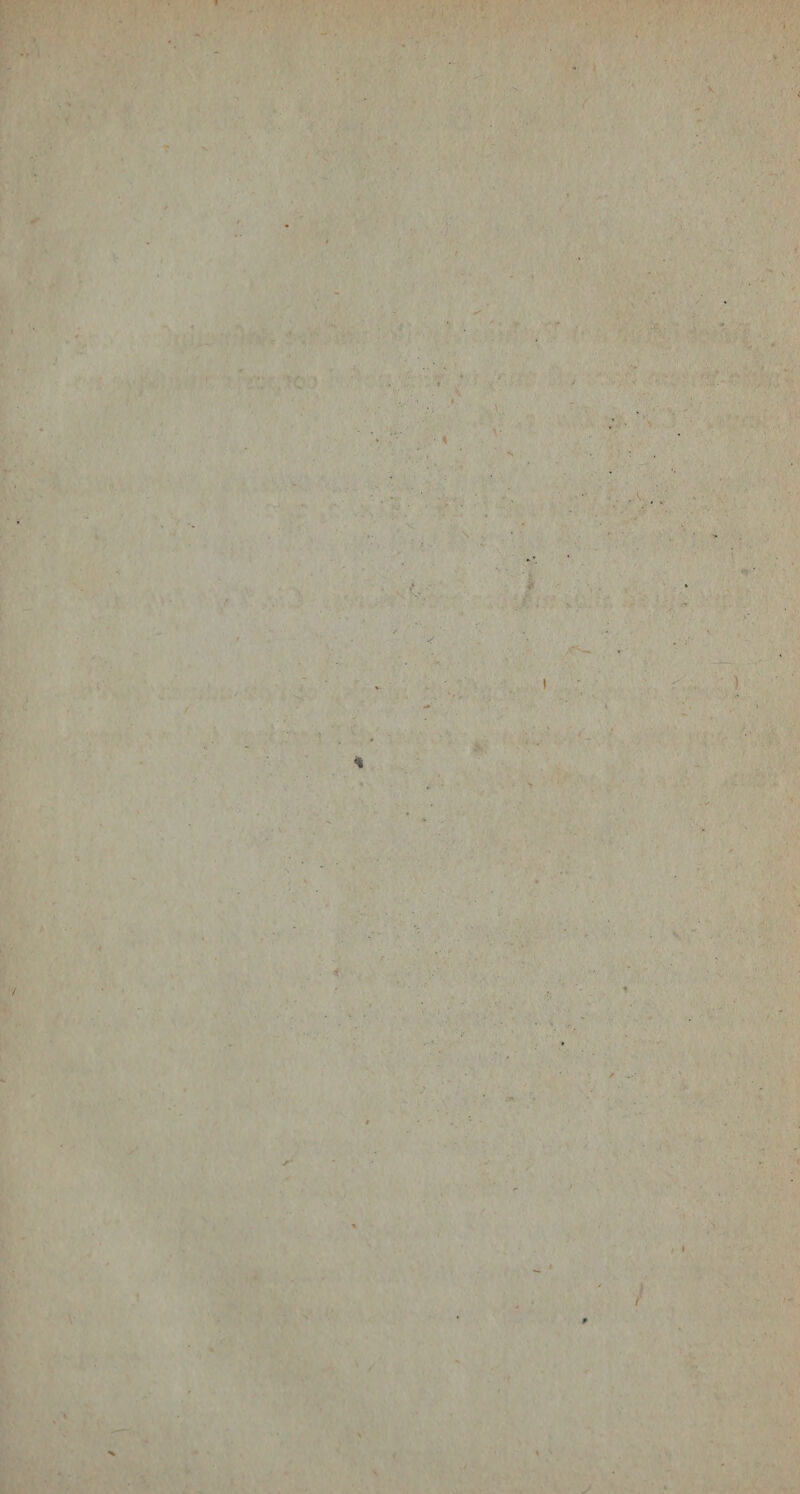 f 1 '1 / N k V • ] / 1 f /