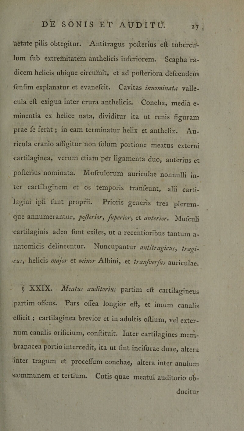 27 aetate pilis obtegitur. Antitragus pofterius eft tubercu¬ lum fub extremitatem anthelicis inferiorem. Scapha ra¬ dicem helicis ubique circumit, et ad polleriora defcendenS fenfim explanatur et evanefcit. Cavitas innominata valle¬ cula efi; exigua Inter crura anthelicis. Concha, media e- mlnentla ex helice nata, dividitur ita ut renis figuram prae fe ferat; in eam terminatur helix et anthelix. Au¬ ricula cranio affigitur non foliim portione meatus externi cartilaginea, verum etiam per ligamenta duo, anterius et ■poflefms nominata. Mufculorum auriculae nonnulli in¬ ter cartilaginem et os temporis tranfeunt, alii carti¬ lagini ipfi funt proprii. Prioris generis tres plerum¬ que annumerantur, pojlerior, fuperior, et a7iterioj\ Mufculi cartilaginis adeo funt exiles, ut a recentioribus tantum a- natomicls delineentur. Nuncupantur antitragicus, tragi- ^us, helicis major et minor Albini, et trajifverfus auriculae. ^ XXIX. Meatus auditorius partim eft cartilagineus ;partlm olfeus. Pars offea longior eft, et Imum canalis efficit; cartilaginea brevior et Iu adultis oftium, vel exter¬ num canalis orificium, conftituit. Inter cartilagines mem¬ branacea portio Intercedit, ita ut fint incifurae duae, altera Inter tragum et proceffum conchae, altera inter anulum 'communem et tertium. Cutis quae meatui auditorio ob¬ ducitur
