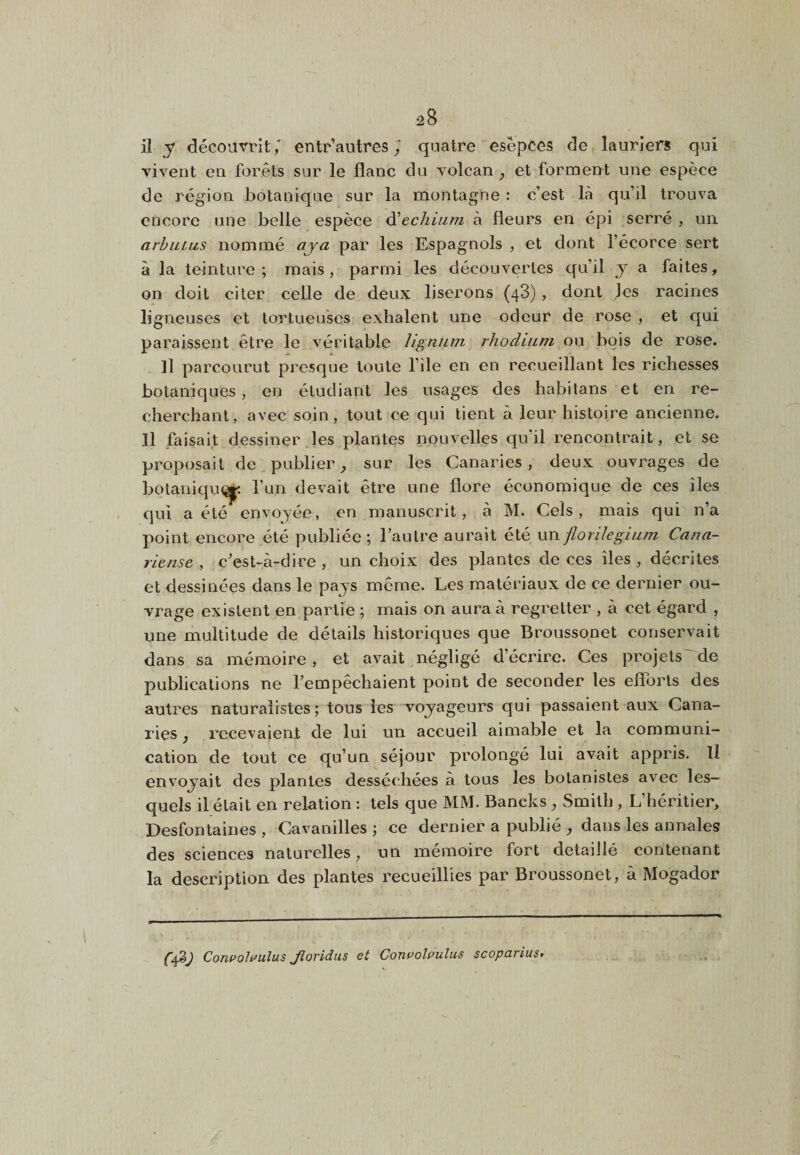 28 il y découvrit,' entr’aiitres y quatre esêpces de lauriers qui vivent en forêts sur le flanc du volcan j et forment une espèce de région botanique sur la montagne : c’est là qu’il trouva encore une belle espèce ^ecliiiim à fleurs en épi serré , un arhiLtus nommé aja par les Espagnols , et dont l’écorce sert à la teinture; mais, parmi les découvertes qu’il y a faites, on doit citer celle de deux liserons (48), dont les racines ligneuses et tortueuses exhalent une odeur de rose , et qui paraissent être le véritable lignnm rhodium ou bois de rose. Il parcourut presque toute l’île en en recueillant les richesses botaniques, en étudiant les usages des habitans et en re¬ cherchant, avec soin, tout ce qui tient à leur histoire ancienne. Il faisait dessiner les plantes nouvelles qu’il rencontrait, et se proposait de publier sur les Canaries, deux ouvrages de botaniqiu^ l’un devait être une flore économique de ces îles qui a été envoyée, en manuscrit, à M. Gels, mais qui n’a point encore été publiée ; l’autre aurait été un jlorUegium Cana- riense , c’est-à-dire , un choix des plantes de ces îles , décrites et dessinées dans le pays même. Les matériaux de ce dernier ou¬ vrage existent en partie ; mais on aura à regretter , à cet égard , une multitude de détails historiques que Broussonet conservait dans sa mémoire, et avait négligé d’écrire. Ces projets^de publications ne l’empêchaient point de seconder les efïljrls des autres naturalistes; tous les voyageurs qui passaient aux Cana¬ ries J recevaient de lui un accueil aimable et la communi¬ cation de tout ce qu’un séjour prolongé lui avait appris. H envoyait des plantes desséchées à tous les botanistes avec les¬ quels il était en relation : tels que MM. Bancks, Smith , L’héritier, Desfontaines , Cavanilles ; ce dernier a publié ^ dans les annales des sciences naturelles, un mémoire fort detaiiié contenant la description des plantes recueillies par Broussonet, à Mogador Coni>oli^ulus Jloridus et Confolvulus scoparius.