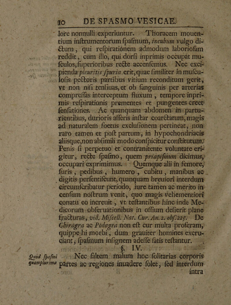 3o . DE SPASMO: NESICAE| - Jore nonnulli-experiuntur. .-Plioracem mouen- | tium inftrumentorum fpafmum, incubum vulgo di- &amp;um, qui refpirationem admodum laboriofam - | reddit , cüm illo, qui dorfi inprimis occupat tnu- fculos; fuperioribus reCte.accenfémus. Nec exci- | Aor pienda ieuritis fpuria.erit,quae Gimiliter in mufcu- :» lofis: pe&amp;toris partibus vitium reconditum gerit; vt non: nifi tenfiuas, et ob fanguinis per arterias compreffas interceptum flüxum , tempore inpri-. mis refpirationis prementes et. punpentes créet fenfationes.. Ac: quanquam -abdomen-' in: partu-  .Kientibus, dürioris afferis inftar coar&amp;taturi; ,magis ad naturalem foetus exclufionem pertineat, non: raro tamen et poft partum; in. hypochondriacis . aliisque;non abfimili: modo confpicitur conftitututm; Penis fi perpetuo et contranitente voluntate erí- - gitur, re&amp;te fpaímo, quem qriapifium dicimus, - occupari exprimimus.:. - Quemque alii in femore; furis, pedibus, humero , cubitu, manibus ac . digitis perfentifeunt, quanquam breuiori interdum - eireumfcribatur periodo, iure tàmen ac merito in: cenfum noftrum venit, quo magis Veliementiori . A eponatu eo increuit , vt teftantibus hinc inde Me- « dicorum .obferuátionibus in offium defierit ond fra&amp;turas ,. vi. Mifcell: Nar. Cur. An.2: obfi225- Gbiragra ac Pódagra non eft cur multa: voto quippe-hi morbi, dum: grauiter/homines excru- : - . Giant; ipse infi iguent defe fatis. teftantur. 6 | Quid afi u nea ec he trial hte: dfolitarias. dütporis quamplurima putes ac regiones. n— folet; fed intérdüm . ^