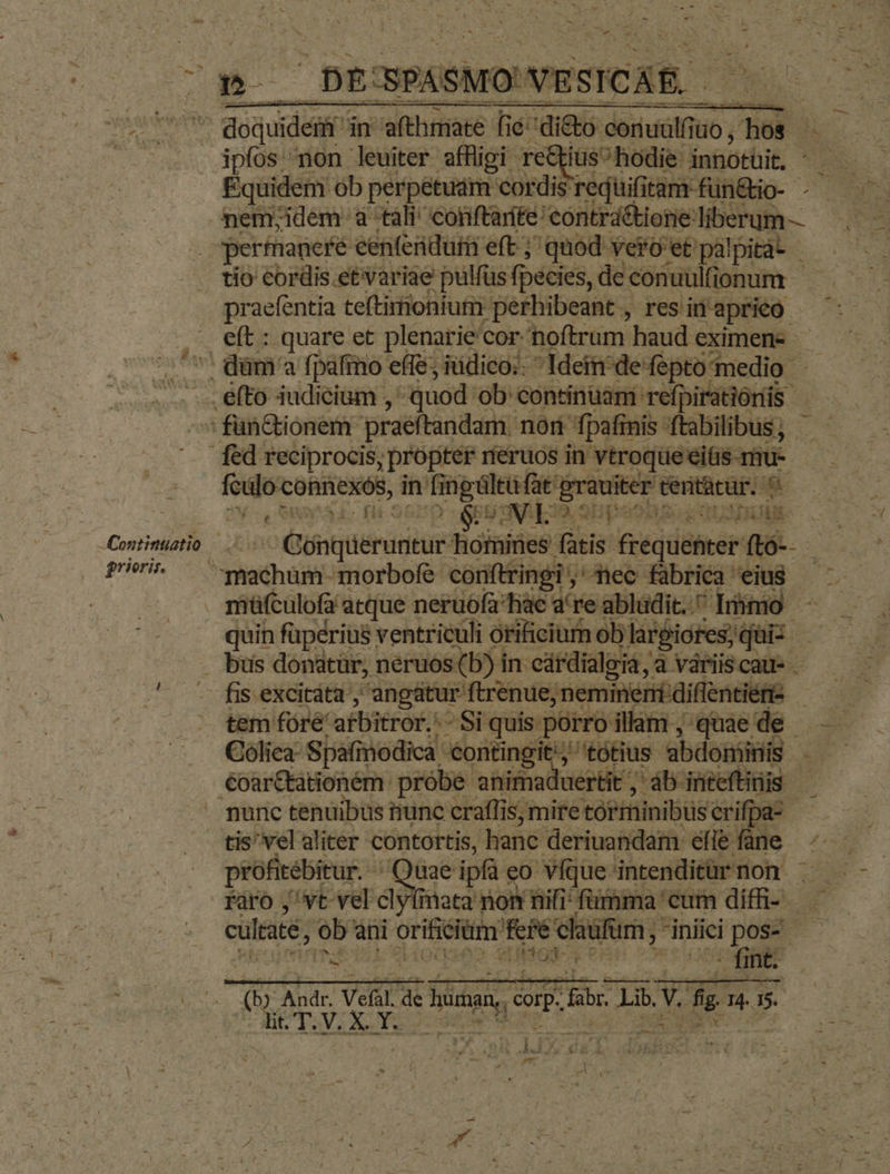 -. ipfos non leuiter affüpgi re&amp;tiüs^ hodie innotüit, Equidem ob perpetuam cordis requifitam-fün&amp;io- . praefentia teftirionium perhibeant., res usd e(t : quare et plenarie'cor. noftrum haud eximene- Continuatio — grieris. fcálo connexos, dn riget gehn tentàtur. ^ LE Rai f [m ay E» X Re JM OLOR uit Ginger hotnines pw frequehter ftó--- 2 m tem ifa: ence N29 sr quis: EPA lam, med Colica- Spafmodica contingit: 'tótius abd. ominis . €oarttationém. probe animaduertit ab. inéeftinis — nunc tenuibus iunc craffis, mire to rminibus M tis vel aliter contortis, hanc deriuandam efie fàne raro jvt vel clyfimata non nifi fumma cum diffi- - ito. vv - fint. —————— B B PR —————— TV AY | LM