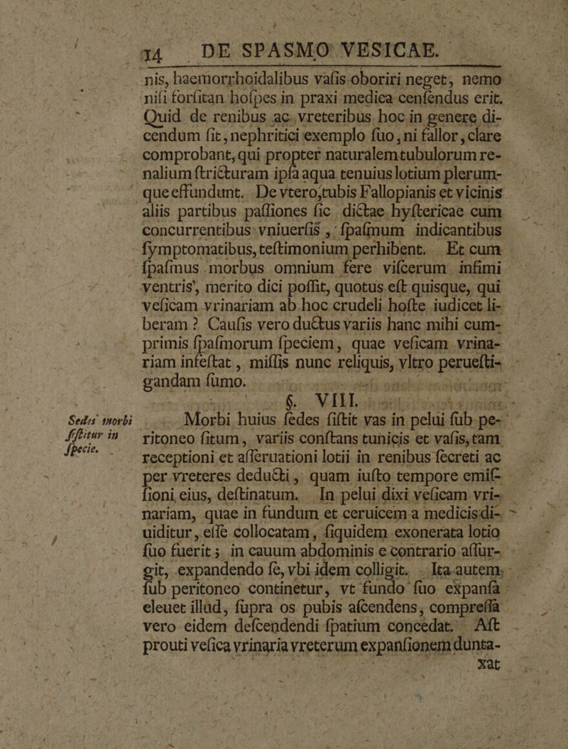 Quid. de renibus ac. vreteribus. hoc in genere di- cendum fit. j nephritici exemplo fuo , ni fallor , clare comprobant, qui Pippees naturalem tubulorum re- nalium ftricturam ipfa aqua tenuius lotium plerum- aliis partibus. paffiones fic , dictae. hyítericae cum. concurrentibus: vniuer(i$ ,:fpafmum indicantibus fymptomatibus, teftimonium perhibent. Et cum. Sed»s thorbi fffitur in fgecie. beram ?. Caufis vero du&amp;us variis hanc mihi cum- primis fpafmorum fpeciem, quae veficam vrina- rese vifus ritoneo fitum, variis conftans tunicis et vafis, tam. nariam, quae in fundum et ceruicem a medicis di-. uiditur , effe collocatam , fiquidem exonerata lotio cit, expandendo [e, vbi idem colligit. . Ita autem; vero eidem defcendendi fpatium concedat. - Aft prouti neu vrinaria veterum n expantonsj dunta- VN - L