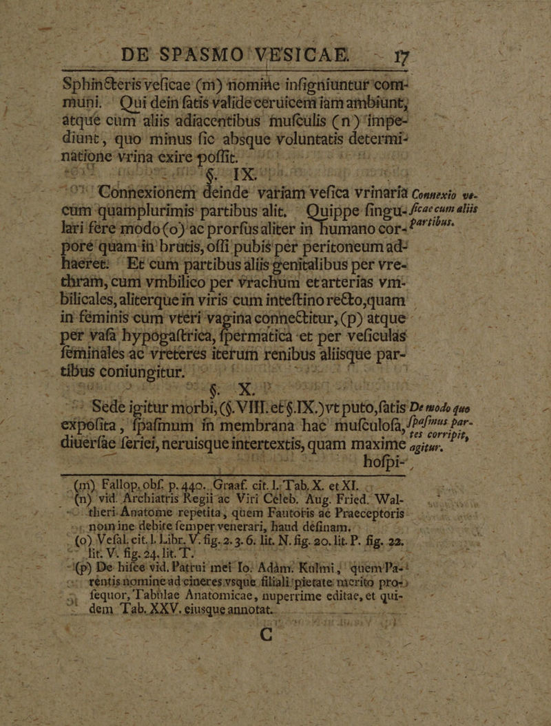 Sphin&amp;keris vefi cae (m) miómine infi jgniuntur: comb — muni. Qui deinfatis validecerüicem iam ambiünt; diunt, quo minus fic et Voluntatis DM nitione vrina exire poffit. LE : cum n quamplurimis partibus alit, : uo fingu- Meli haeret: ^ Et cum partibus aliis genitalibus per vre- per vafa hypógaftriea,: fpermiatica'et per veficuld$ — féiinales ac vreteres iterum. To0iUs e [dy n Sede i igitur niorbi, C y n eS X. y jute, fütis D» mid, feo con ta, fpafinum in membrana hac mufculofa, /P4fus par- ? te$ corripit, diuér(àc feriei duris intertextis, quam maxime girur. E | ye ue xp - hofpi-, TS Fallop, obi p. y Goat cit. jr Tab, X. UON SO ENG pes vid. Archiatris Regii: ac Viri Celeb. Aug. Prud Wal- Maiocidie theri-Anatome repetita, quem Fautotis ac idee je at  «noinine debite femper venerari, haud définam. .. - (9) Vefalcit.l. Libr. V. fig.2.3. $ lit. N. fig. 20. lit. P. fig. 22, zw ne Vi fig. 24. lit.'T'. UT -p) De hifce vid, Patrut met To; Adi Kali; quem Pazt à rentis. nomined cineres;vsque filiali: ;pietate mierito pros; fequor, T'abhlae Anatomicae, nuperrime Pis od et qus (o dem Tab. XXV. iusque gunofate- RE RES S DNUS cB ; 5i