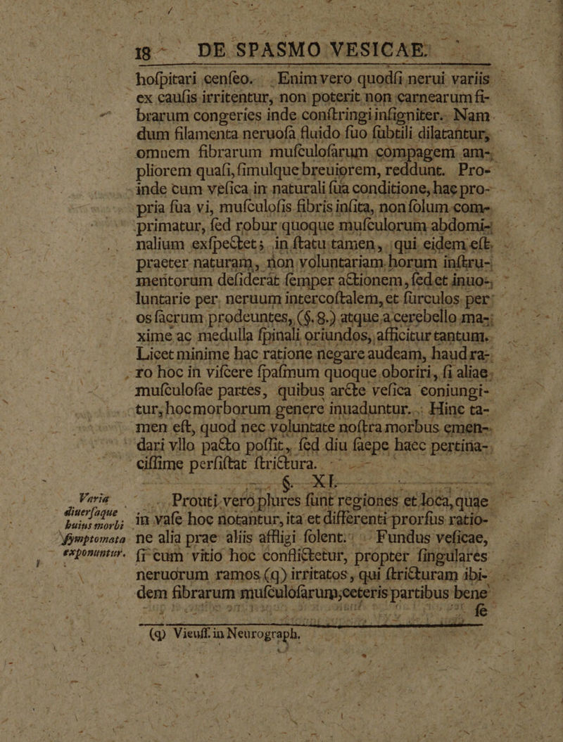 » brarum congeries inde con(tringiinfigniter. Nam. Varia . buins morbi /Mymptomata - exponuntur. A os praeter naturam, non. voluntariam. horum inftru- ne alia prae aliis affligi folent. .. Fundus veficae,. fi cum vitio hoc confli&amp;tetur,. propter fingulares