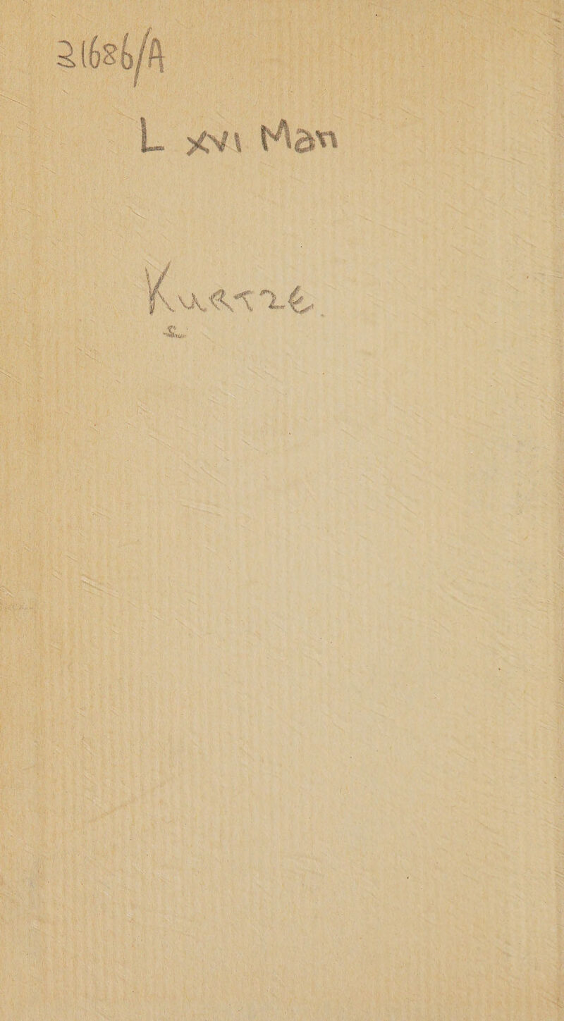 | A800 L Nen | C= 2 W