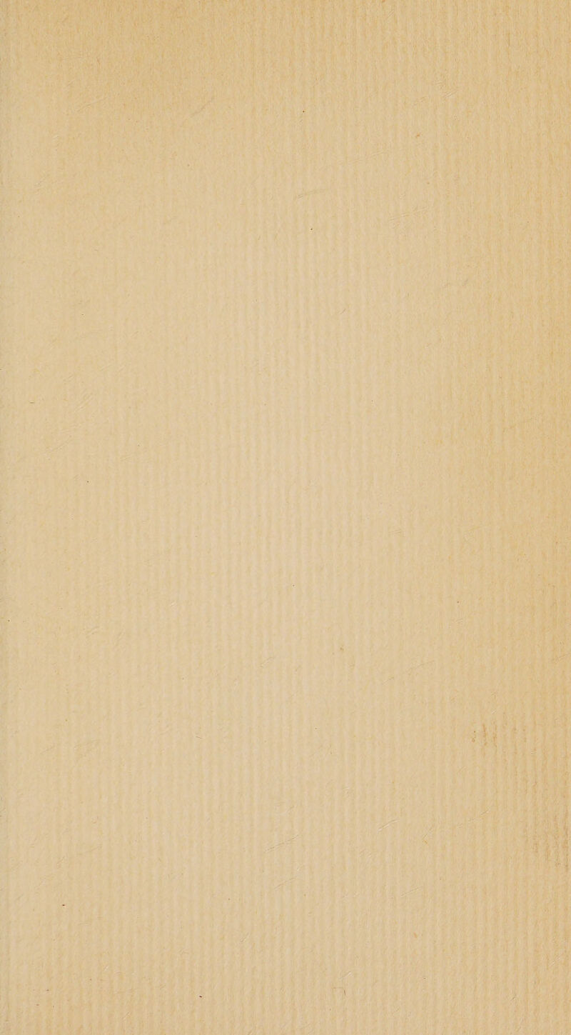 a * N * ET nnd . ie Se n e = eng ET n LAN „ l N me erg 5 N 7 a ara ei r ET ET Nee ee