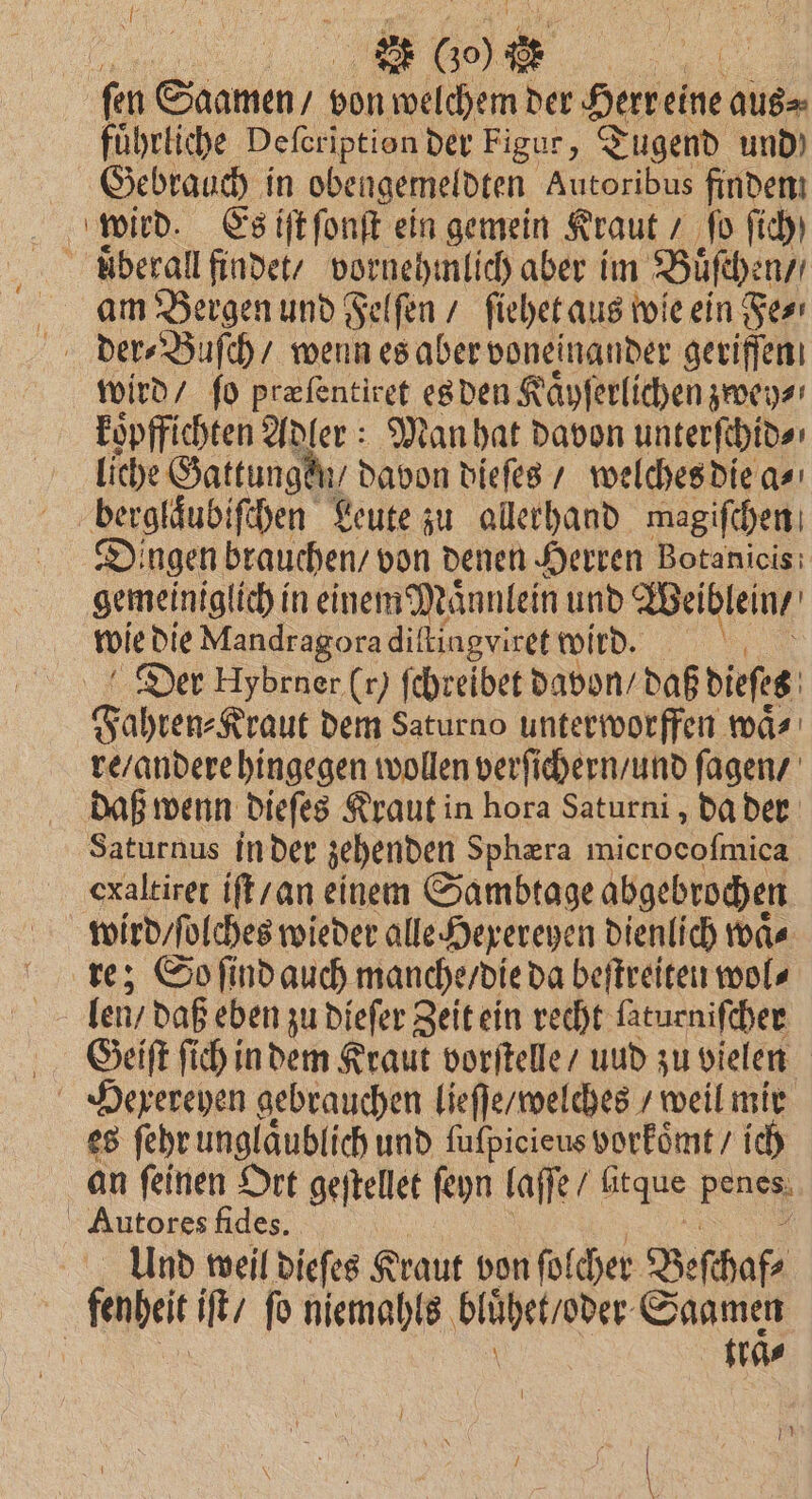 . 2 6⁰0 * a fen Saamen, bon welchem der Herr eine aus⸗ führliche Defeription der Figur, Tugend und) Gebrauch in obet igemeldten Autoribus finden: wird. Es iſt ſonſt ein gemein Kraut / fo ſich uͤberall findet / vornehmlich aber im Buͤſchen / am Bergen und Felſen / ſiehet aus wie ein Fe⸗ wird / fo præſentiret es den Kaͤyſerlichen zwey⸗ koͤpffichten Adler: Man hat davon unterſchid⸗ liche Gattungen / davon dieſes / welches die a⸗ berglaͤubiſchen Leute zu allerhand magiſchen Dingen brauchen / von denen Herren Botanicis gemeiniglich in einem Maͤnnlein und Weiblein / wie die Mandragora dil ſtingviret wird. \ Der Hybrner (r) fehreibet davon / daß dieſes g ahren⸗Kraut dem Saturno unterworffen waͤ⸗ re / andere hingegen wollen verſichern / und ſagen / daß wenn dieſes Kraut in hora Saturni, da der Saturnus in der zehenden Sphæra ee exaltiret iſt / an einem Sambtage abgebrochen wird / ſolches wieder alle Hexereyen dienlich waͤ⸗ re; So ſind auch manche / die da beſtreiten wol⸗ len / daß eben zu dieſer Zeit ein recht ſaturniſcher Geiſt ſich in dem Kraut vorſtelle / und zu vielen Hexereyen gebrauchen lieſſe / welches / weil mir es ſehr unglaͤublich und fufpicieus vorkoͤmt / ich an feinen Ort geſtellet ſeyn laſſe / nee Pau Autores fides. Und weil dieſes Kraut von ſolcher Beſchaf⸗ fenheit iſt / fo niemahls blühet / oder Saamen | traͤ⸗ *