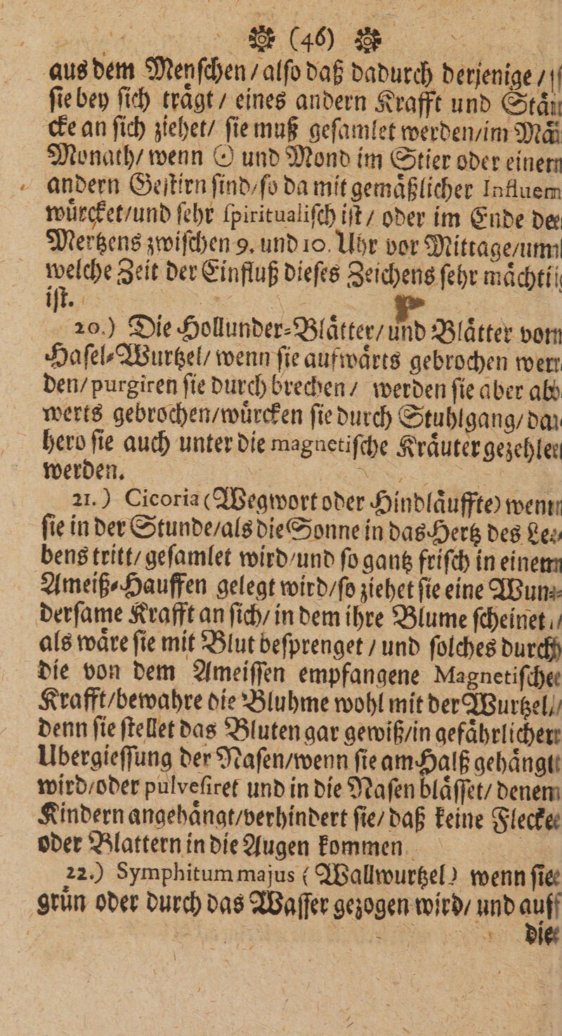 — (46%) fie bey ſich tragt, eines andern Krafft und Staͤn cke an ſich ziehet / ſie muß geſamlet werden / im Mäi wuͤrcket / und ſehr ſpiritualiſch iſt / oder im Ende der Mertzens zwiſchen 9. und 10. Uhr vor Mittage / um. elche Zeit der Einfluß dieſes Zeichens ſehr mächtri 20.) Die Hollunder⸗Blaͤtter / d Blaͤtter vom Haſel⸗Wurtzel / wenn fie aufwaͤrts gebrochen wert den / purgiren fie durch brechen / werden fie aber ab werts gebrochen / wuͤrcken ſie durch Stuhlgang / dan Ber auch unter die magnetiſche Kräuter gezehler werden. . 21.) Cicoria (Wegwort oder Hindlaͤuffte) wenn fie in der Stunde / als die Sonne in das Hertz des Res bens tritt / geſamlet wird / und ſo gantz friſch in einem Ameiß⸗Hauffen gelegt wird / ſo ziehet ſie eine Wun⸗ derſame Krafft an ſich / in dem ihre Blume ſcheinet. als waͤre ſie mit Blut beſprenget / und ſolches durch die von dem Ameiſſen empfangene Magnetifchee Krafft / bewahre die Bluhme wohl mit der Wurtzel, denn fie ſtellet das Bluten gar gewiß / in gefährlicher: Ubergieſſung der Naſen / wenn fie ape gehaͤngte wird / oder pulveſiret und in die Naſen blaͤſſet / denem 2 if oder Blattern in die Augen kommen 22.) Symphitum majus (Wallwurtzel) wenn fie die-