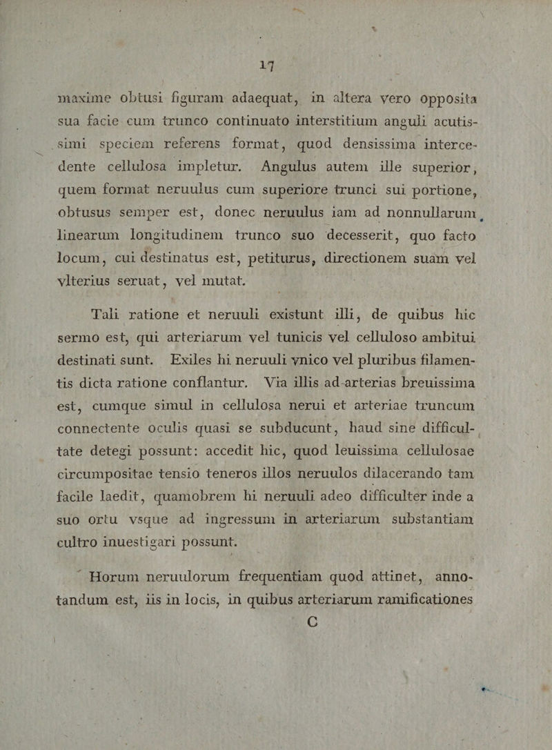 t 17 maxime obtusi figuram adaequat, in altera vero opposita sua facie cum trunco continuato interstitium anguli acutis¬ simi speciem referens format, quod densissima interce¬ dente cellulosa impletur. Angulus autem ille superior, quem format neruulus cum superiore trunci sui portione, obtusus semper est, donec neruulus iam ad nonnullarum linearum longitudinem trunco suo decesserit, quo facto locum, cui destinatus est, petiturus, directionem suam vel vlterius seruat, vel mutat. Tali ratione et neruuli existunt illi, de quibus hic sermo est, qui arteriarum vel tunicis vel celluloso ambitui destinati sunt. Exiles hi neruuli ynico vel pluribus filamen¬ tis dicta ratione conflantur. Via illis ad arterias breuissima est, cumque simul in cellulosa nerui et arteriae truncum connectente oculis quasi se subducunt, haud sine difficul¬ tate detegi possunt: accedit hic, quod leuissima cellulosae circumpositae tensio teneros illos neruulos dilacerando tam facile laedit, quamobrem hi neruuli adeo difficulter inde a suo ortu vsque ad ingressum in arteriarum substantiam cultro inuestigari possunt. Horum neruulorum frequentiam quod attinet, anno¬ tandum est, iis in locis, in quibus arteriarum ramificationes C
