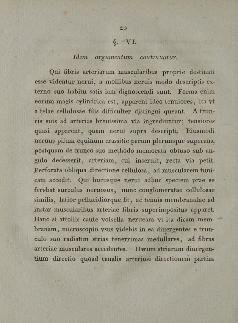 $. vi. i - *. ■ • Idem argumentum continuatur. Qui fibris arteriarum muscularibus proprie destinati esse videntur nerui, a mollibus neruis modo descriptis ex¬ terno suo habitu satis iam dignoscendi sunt. Forma enim eorum magis cylindrica est, apparent ideo tenuiores, ita vi a telae cellulosae filis difficulter djstingui queant. A trun- cis suis ad arterias breuissima via ingrediuntur; tensiores quasi apparent, quam nerui supra descripti. Eiusmodi neruus pilum equinum crassitie parum plerumque superans, postquam de trunco suo methodo memorata obtuso sub an¬ gulo decesserit, arteriam, cui inseruit, recta via petit. Perforata obliqua directione cellulosa, ad muscularem tuni¬ cam accedit. Qui hucusque nerui adhuc speciem prae se ferebat surculus neruosus, nunc conglomeratae cellulosae similis, latior pellucidiorque fit, ac tenuis membranulae ad instar muscularibus arteriae fibris superimpositus apparet. Hanc si attollis caute volsella nerueam vt ita dicam mem¬ branam, microscopio vsus videbis in ea diuergentes e trun¬ culo suo radiatim strias tenerrimas medullares, ad fibras arteriae musculares accedentes. Harum striarum diuergen- iium directio quoad canalis arteriosi directionem partim