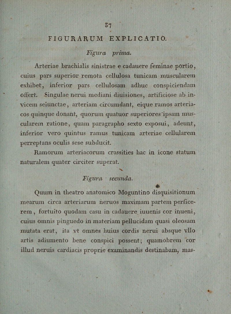 FIGURARUM EXPLICATIO, Figura 'prima. Arteriae brachialis sinistrae e cadauere feminae portio, cuius pars superior remota cellulosa tunicam muscularem exhibet, inferior pars cellulosam adhuc conspiciendam offert. Singulae nerui mediani diuisiones, artificiose ab in¬ vicem seiunctae, arteriam circumdant, eique ramos arteria¬ cos quinque donant, quorum quatuor superiores‘ipsam mus¬ cularem ratione, quam paragrapho sexto exposui, adeunt, inferior vero quintus ramus tunicam arteriae cellularem perreptans oculis sese subducit. Ramorum arteriacorum crassities hac in icone statum naturalem quater circiter superat. Figura ' secunda. ' m Quum in theatro anatomico Moguntino disquisitionum mearum circa arteriarum neruos maximam partem perfice¬ rem , fortuito quodam casu in cadauere iuuenis cor inueni, cuius omnis pinguedo in materiam pellucidam quasi oleosam mutata erat, ita vt omnes huius cordis nerui absque vllo artis adiumento bene conspici possent; quamobrem cor illud neruis cardiacis proprie examinandis destinabam, mas-