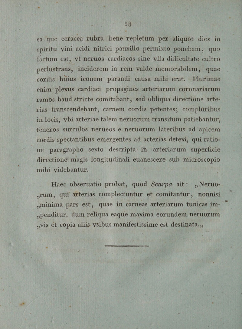 sa que ceracea rubra bene repletum per aliquot dies in spiritu vini acidi nitrici pauxillo permixto ponebam, quo factum est, vt neruos cardiacos sine vlla difficultate cultro perlustrans, inciderem in rem valde memorabilem, quae cordis liuius iconem parandi causa mihi erat. Plurimae enim plexus cardiaci propagines arteriarum coronariarum ramos haud stricte comitabant, sed obliqua directione arte¬ rias transcendebant, carnem cordis petentes; compluribus in locis, vbi arteriae talem neruorum transitum patiebantur, teneros surculos nerueos e neruorum lateribus ad apicem cordis spectantibus emergentes ad arterias detexi, qui ratio¬ ne paragrapho sexto descripta in arteriarum superficie directione magis longitudinali euanescere sub microscopio mihi videbantur. Haec obseruatio probat, quod Scarpa ait: „Neruo- ,,rum, qui arterias complectuntur et comitantur, nonnisi ,,minima pars est, quae in carneas arteriarum tunicas im¬ penditur, dum reliqua eaque maxima eorundem neruorum „vis et copia aliis vsibus manifestissime est destinata.,.