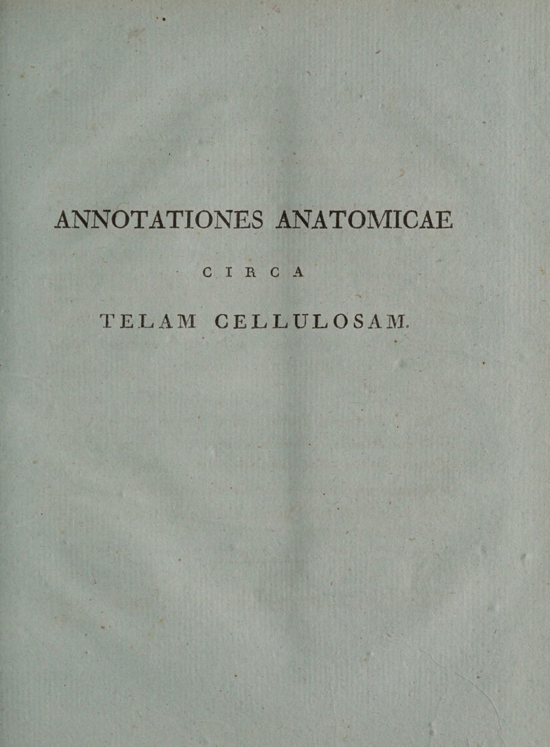 ANNOTATIONES ANATOMICAE •CIRCA TELAM CELLULOSAM. V. VI* '•